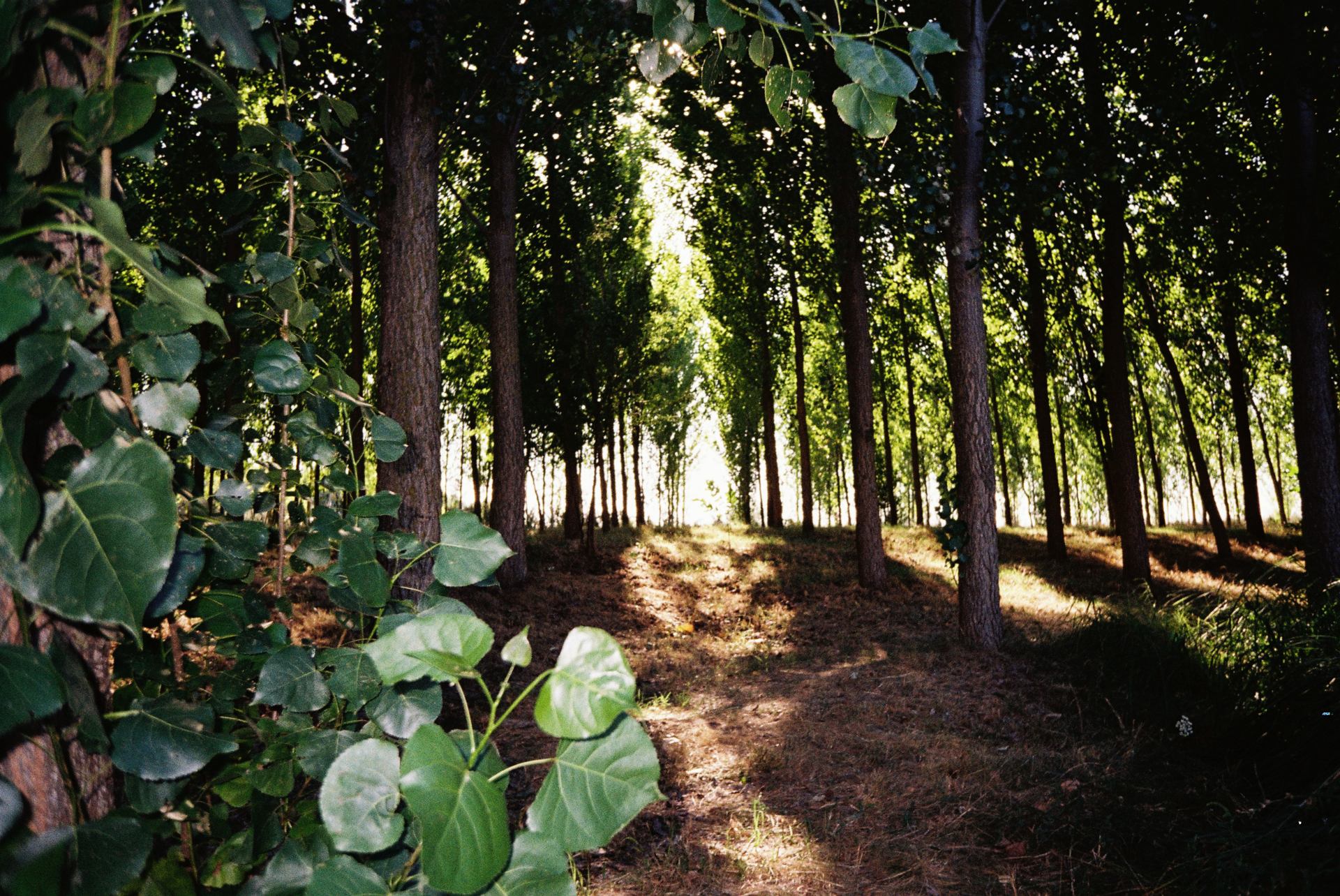 july-september 2025  (11).JPG