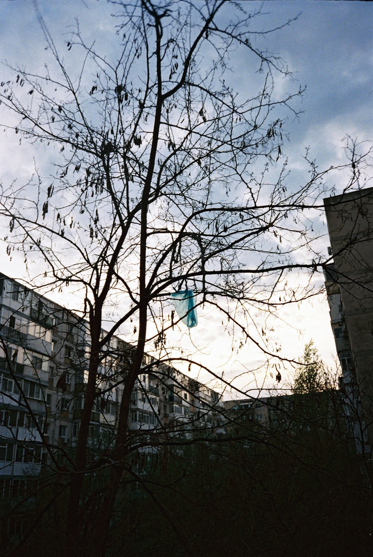 martie-aprilie 2025  (1).JPG