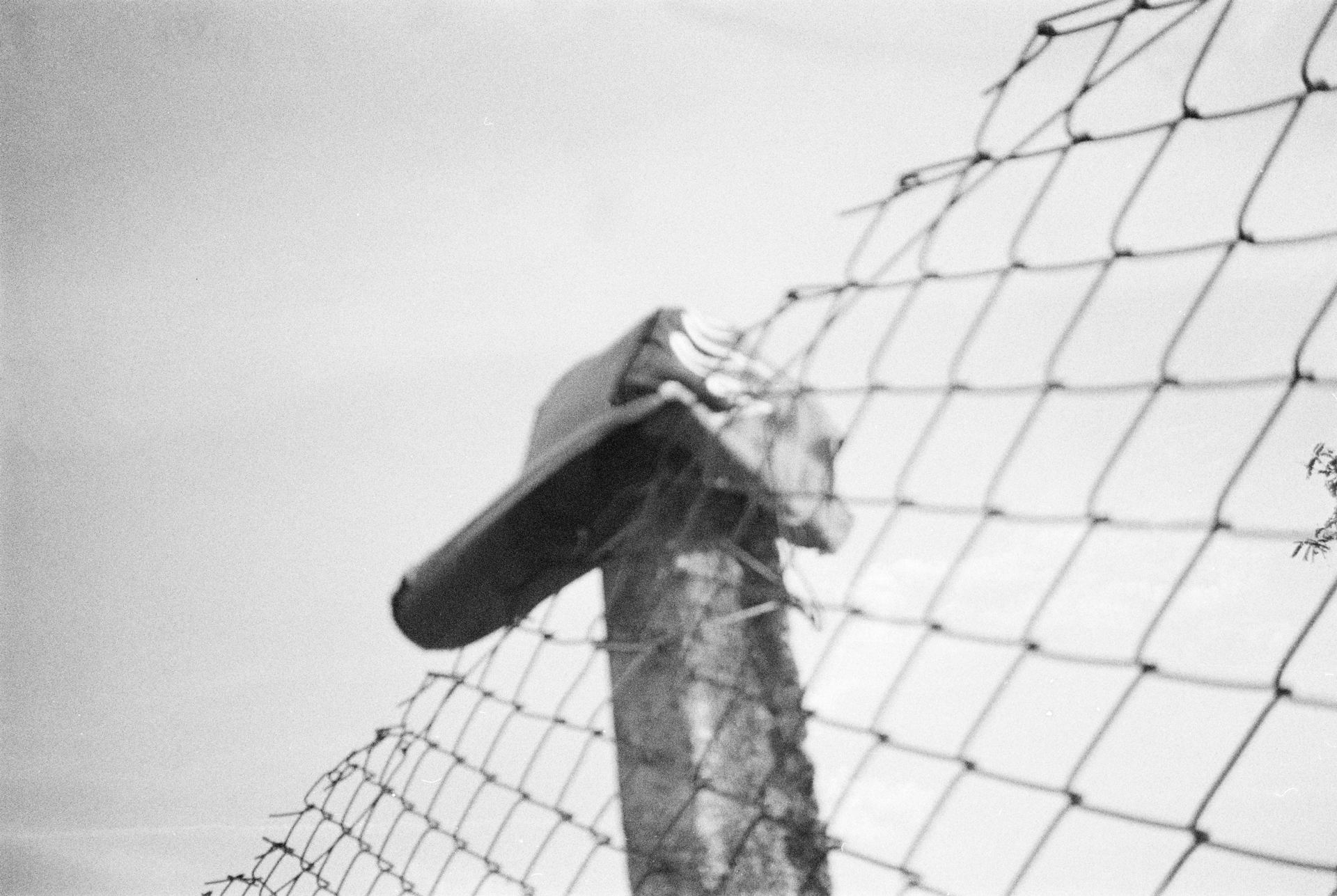 decembrie 2023-ianuarie 2024 (4).JPG