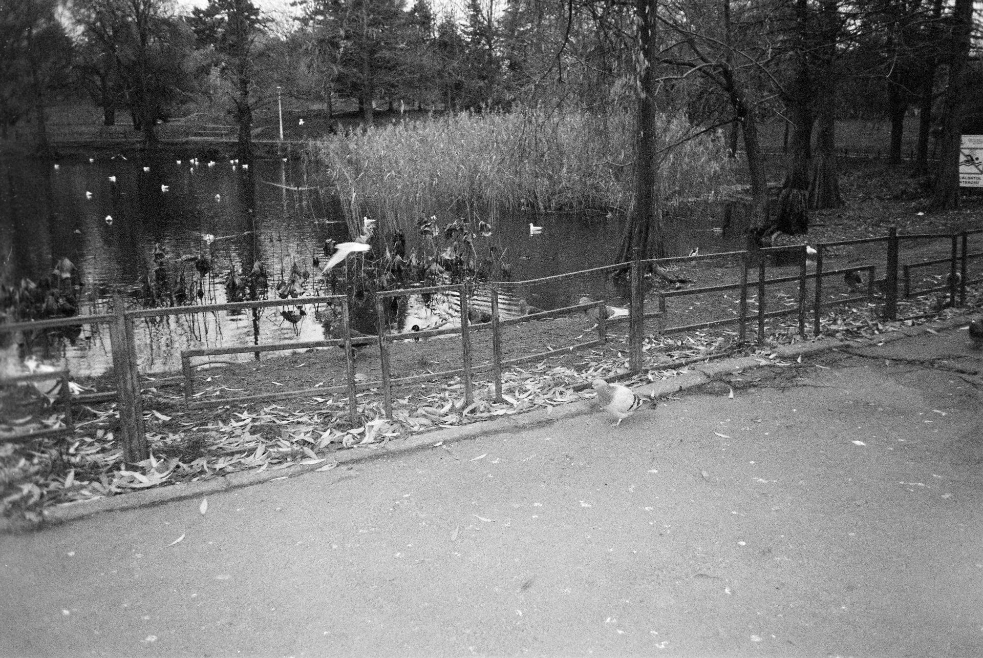 noiembrie-decembrie2025 (10).JPG