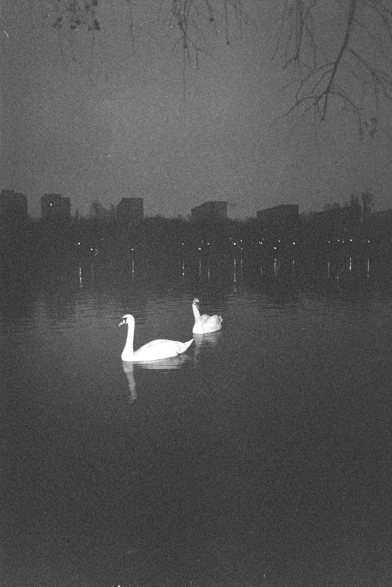 noiembrie-decembrie2025 (11).JPG