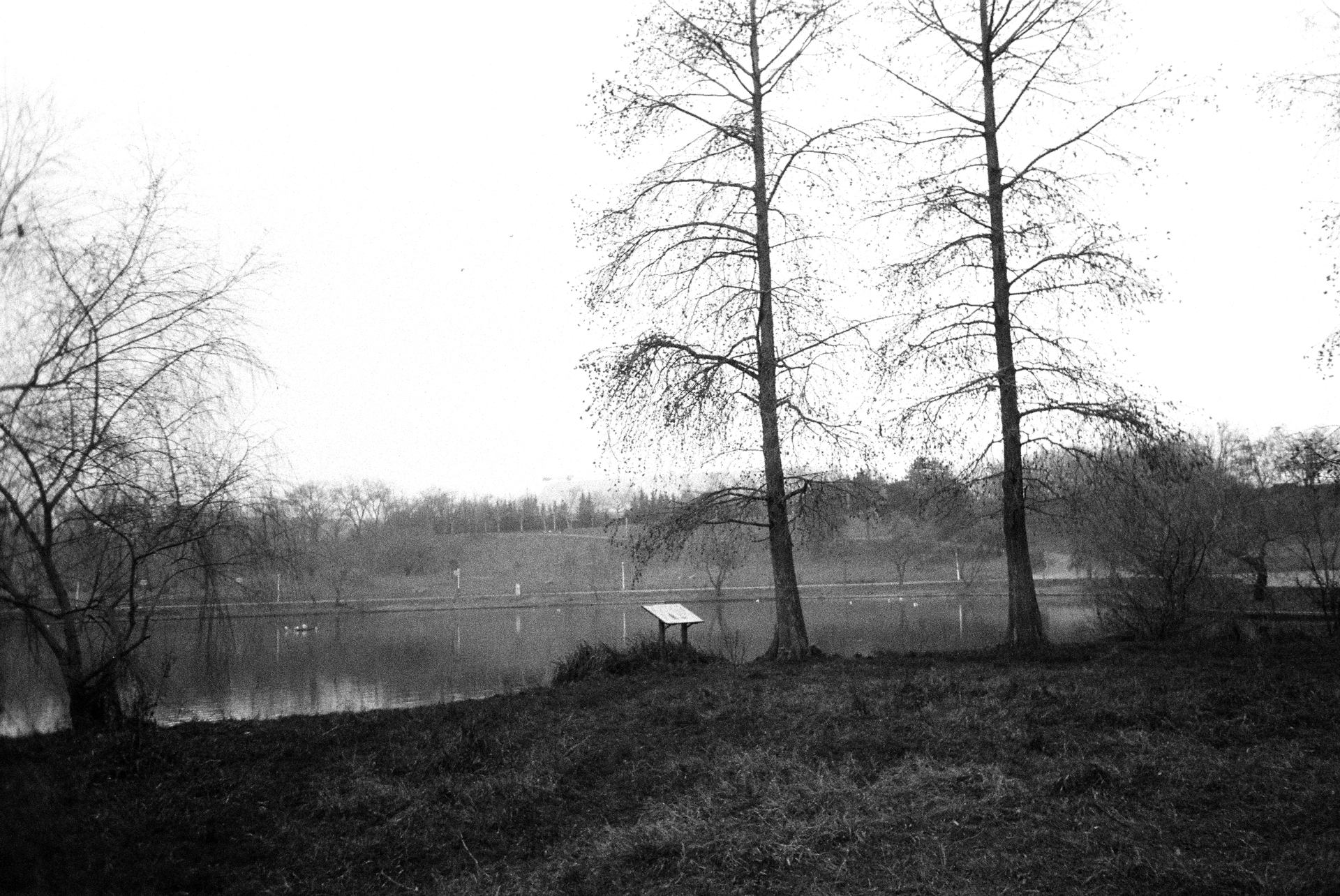 noiembrie-decembrie2025 (18).JPG