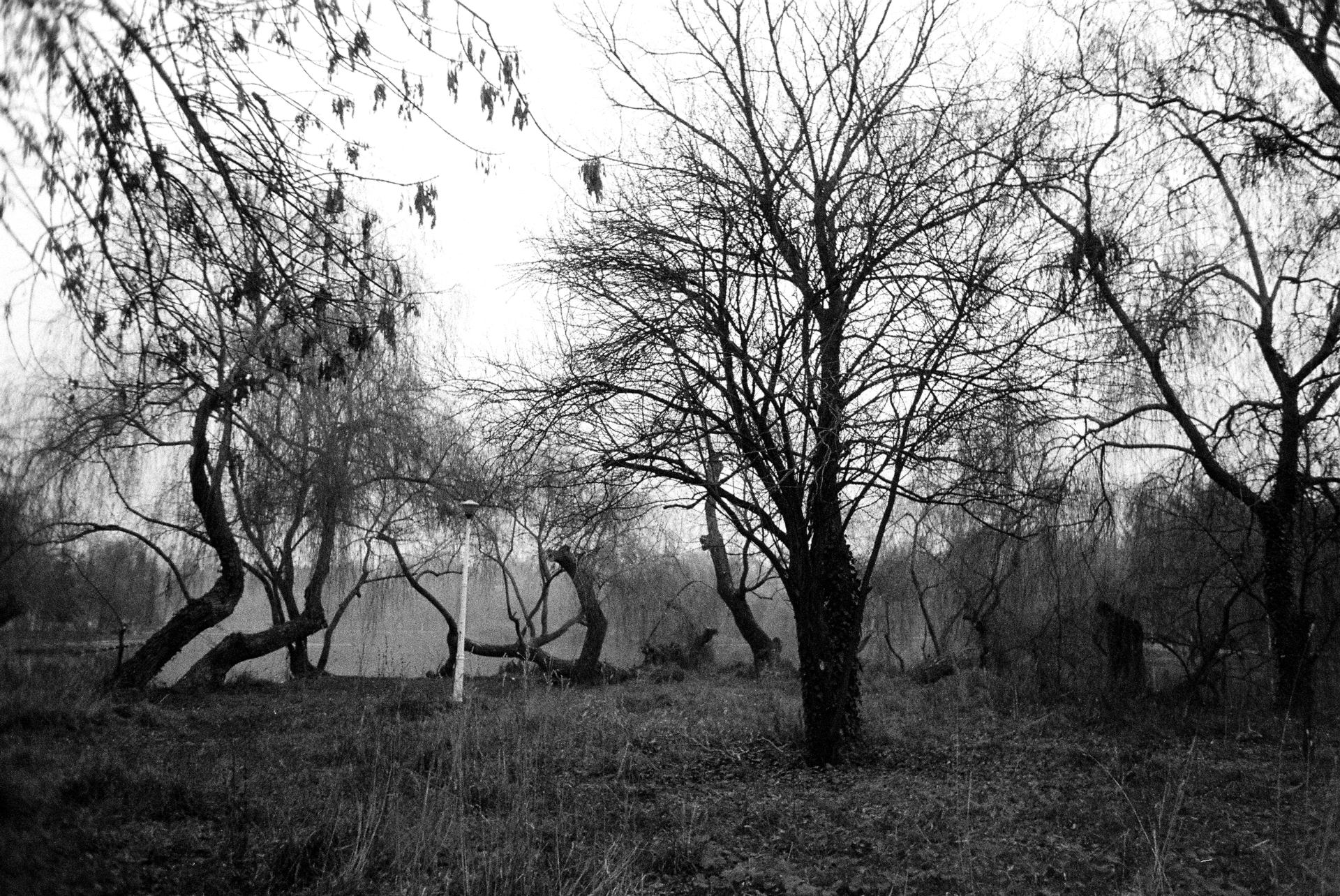 noiembrie-decembrie2025 (19).JPG