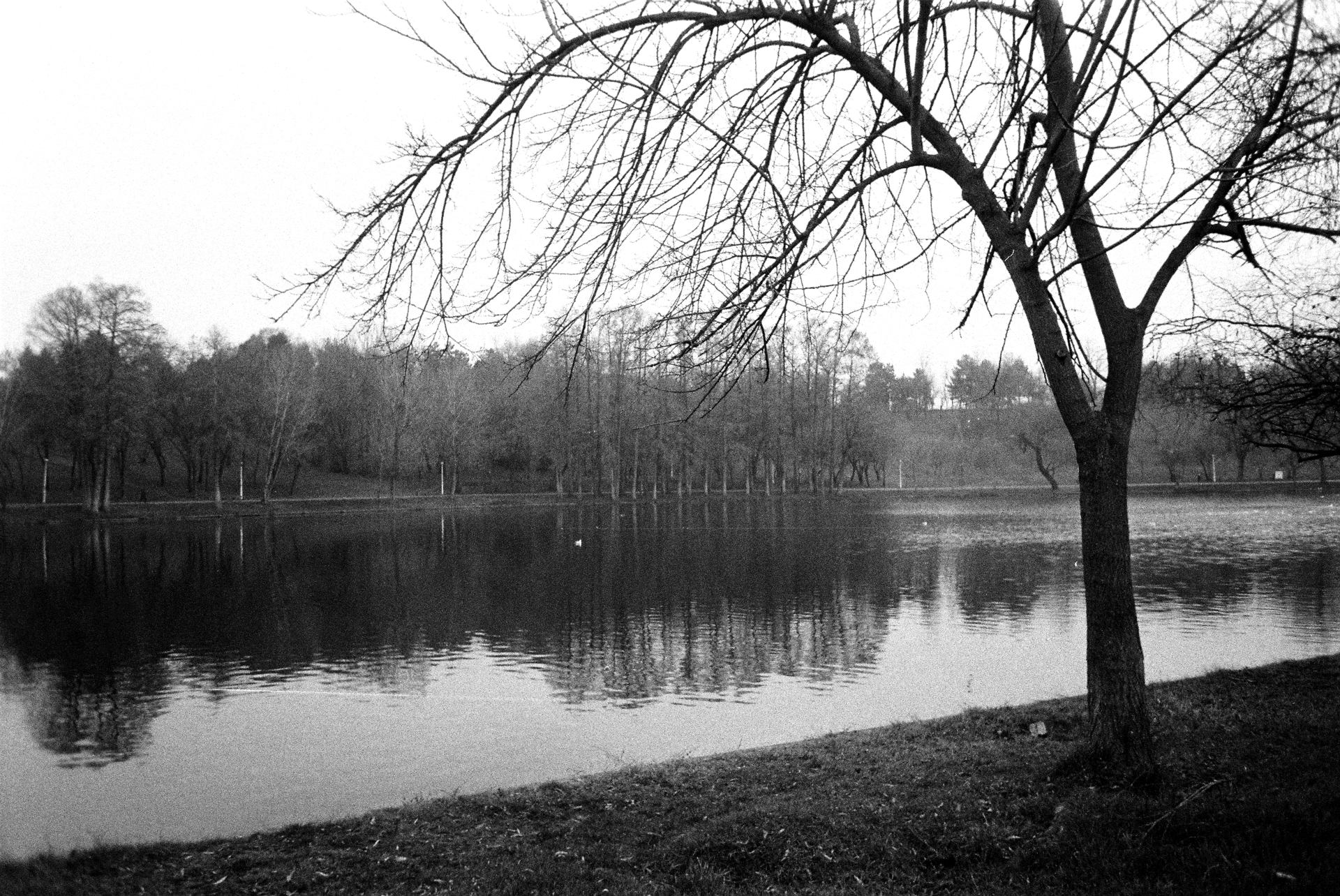 noiembrie-decembrie2025 (20).JPG