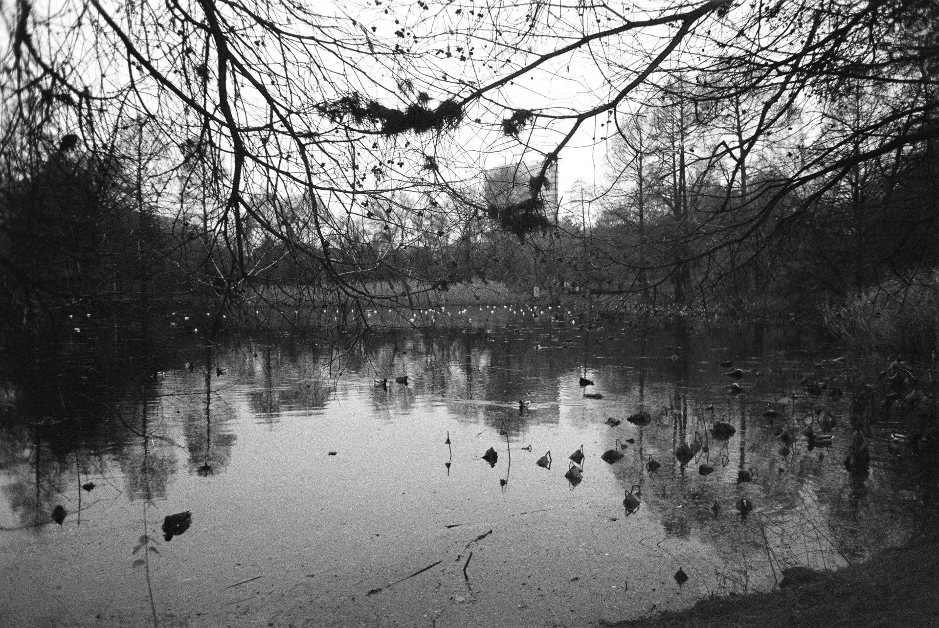 noiembrie-decembrie2025 (21).JPG