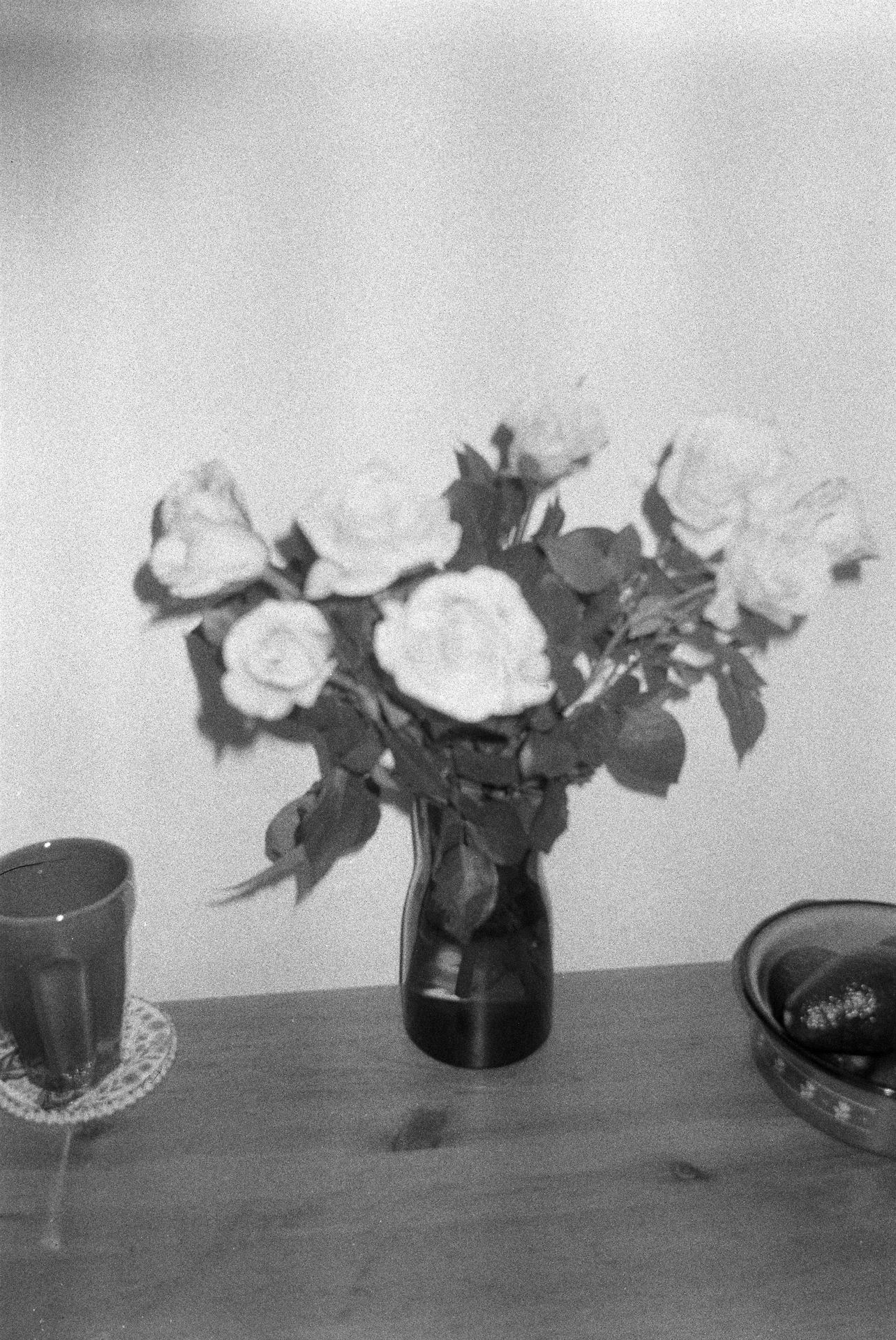 noiembrie-decembrie2025 (31).JPG