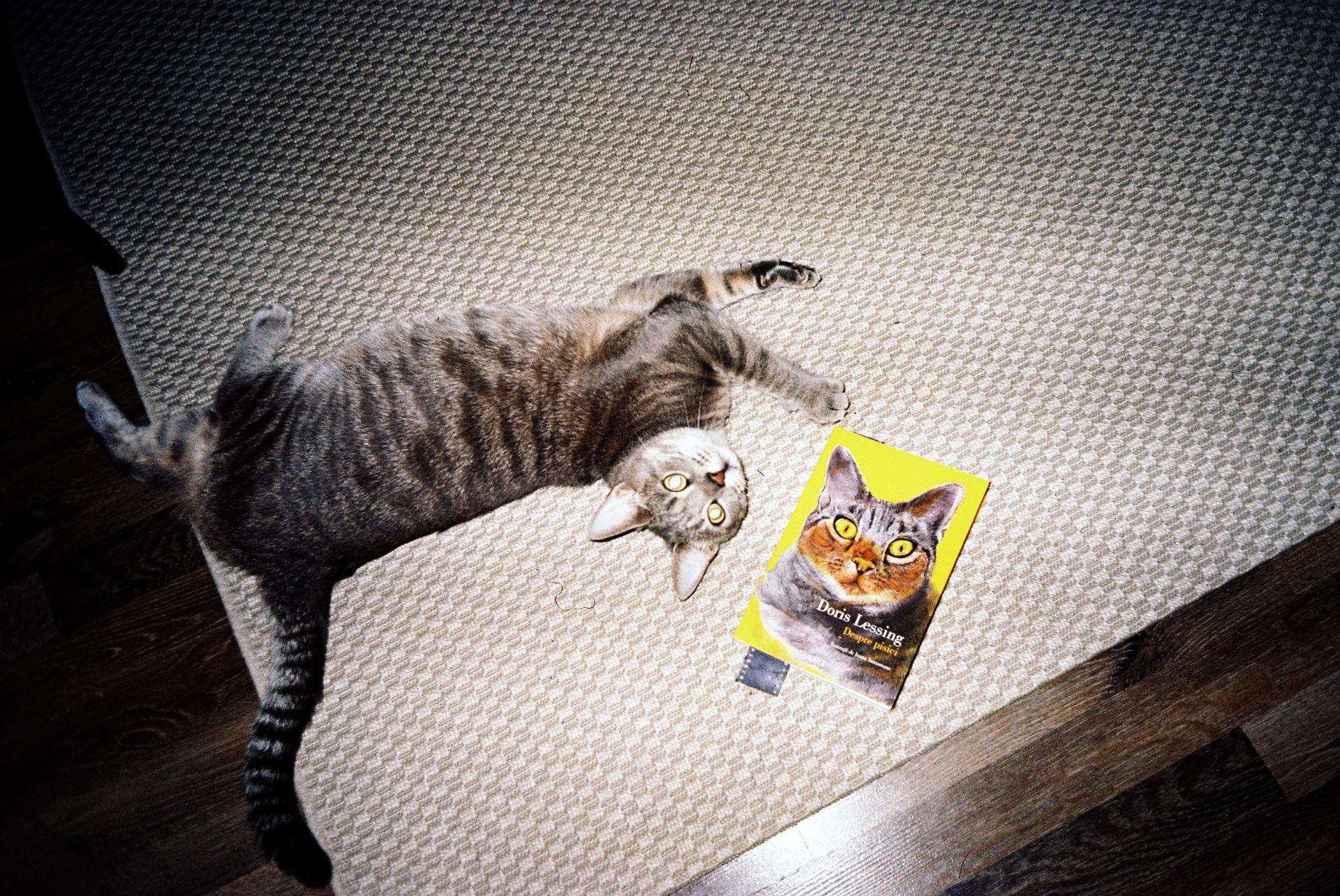 dec25-martie26 (3).JPG