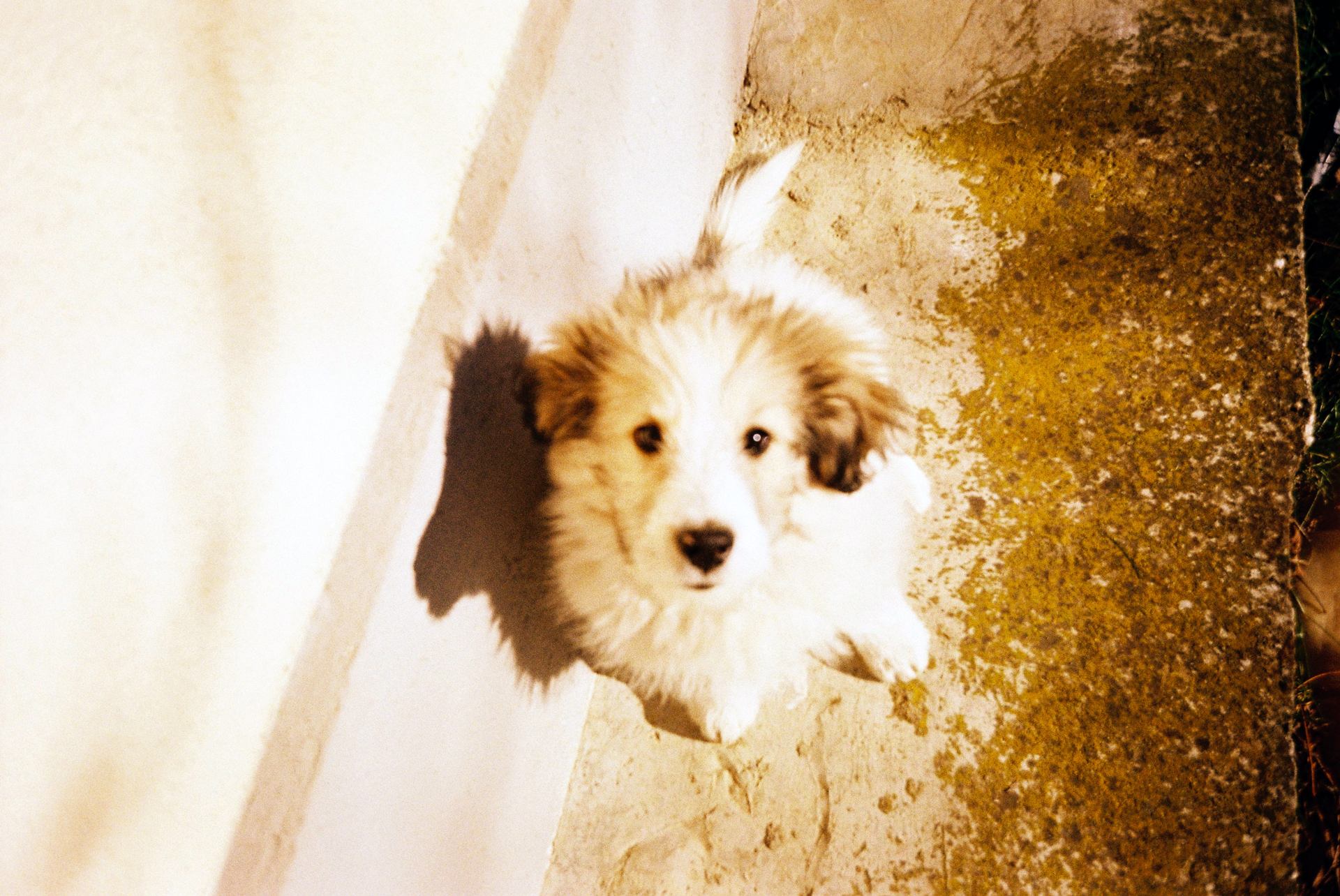 dec25-martie26 (30).JPG