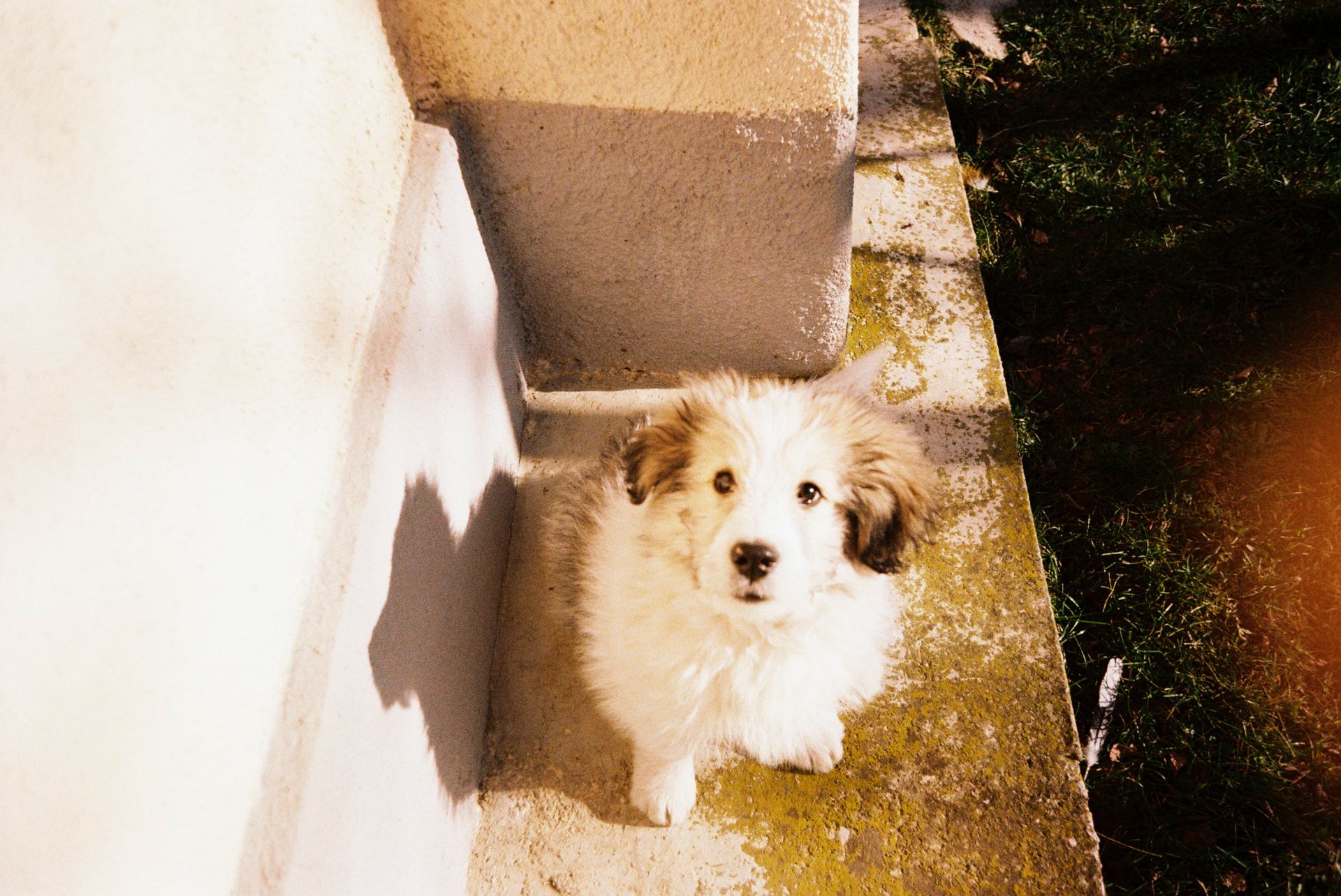 dec25-martie26 (32).JPG