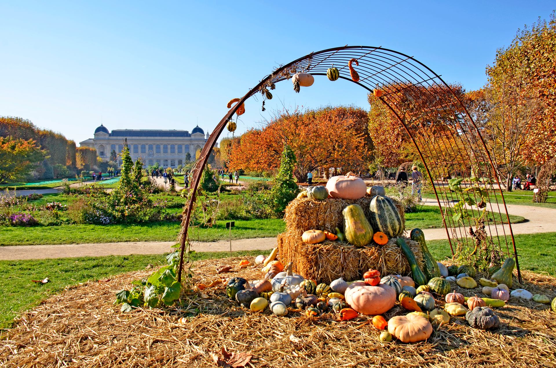 JARDIN DES PLANTES PARIS