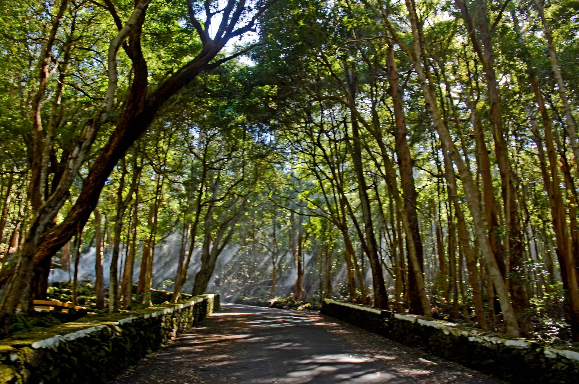 Les Açores