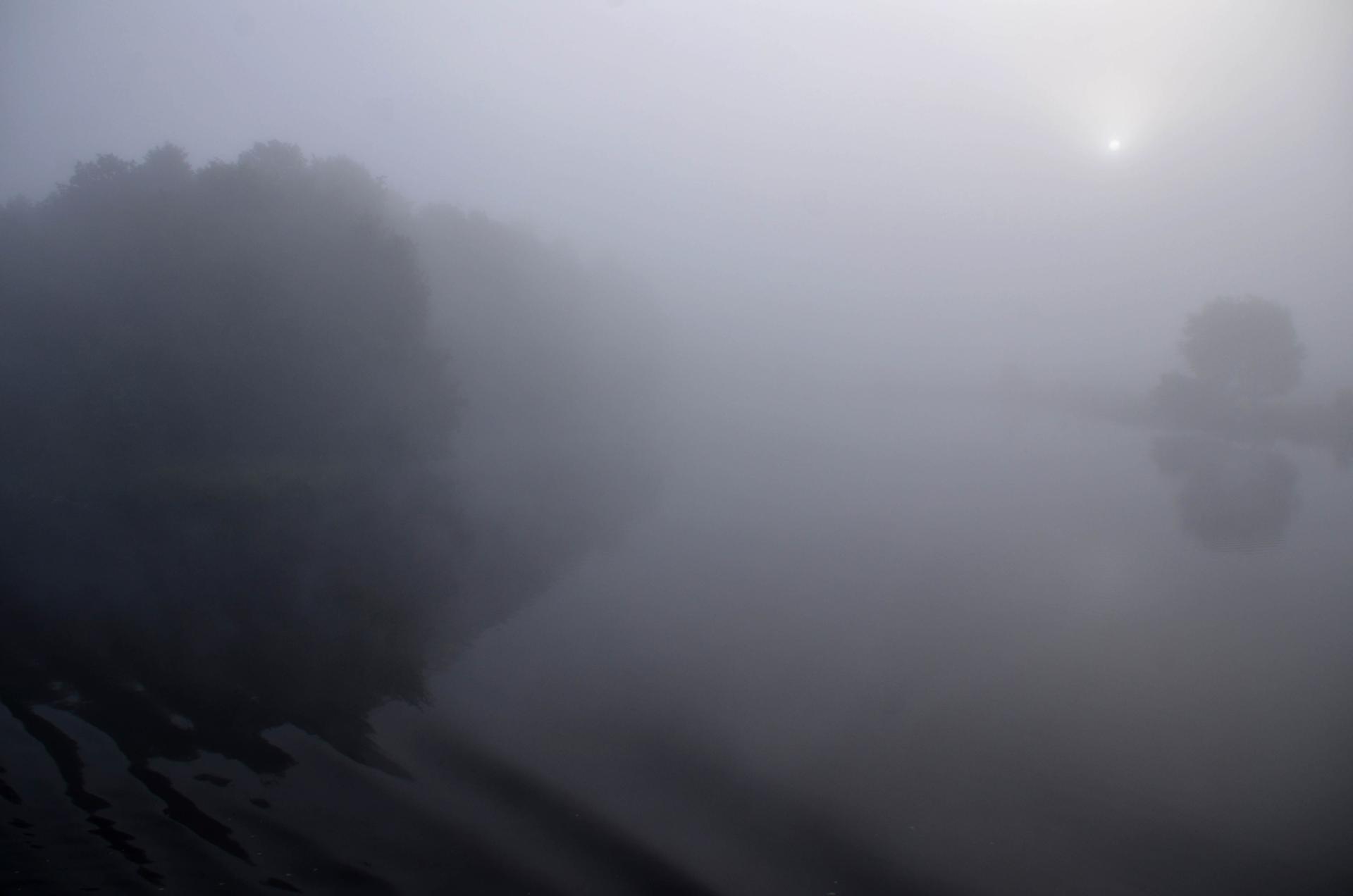 PAYSAGE SUR LA WESER ALLEMAGNE