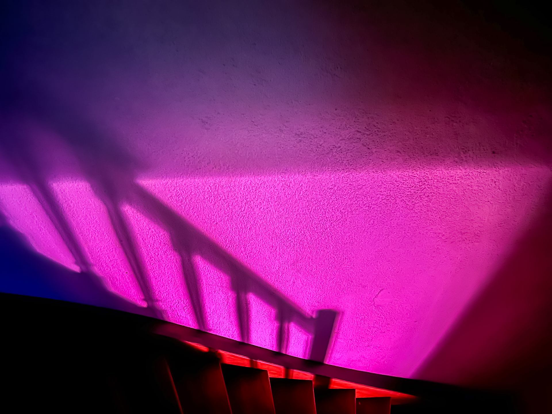 Couleurs de la nuit