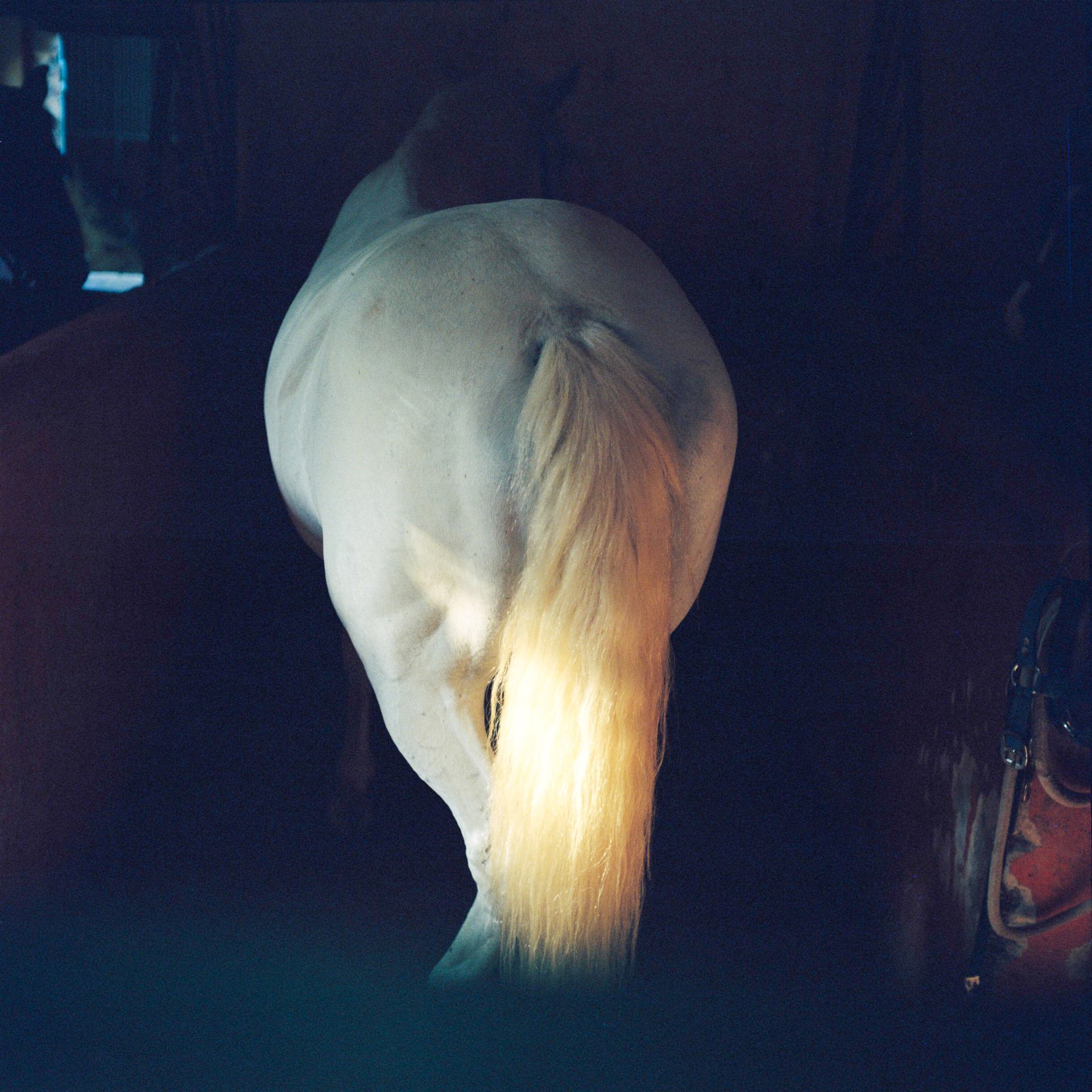 Clair obscur
