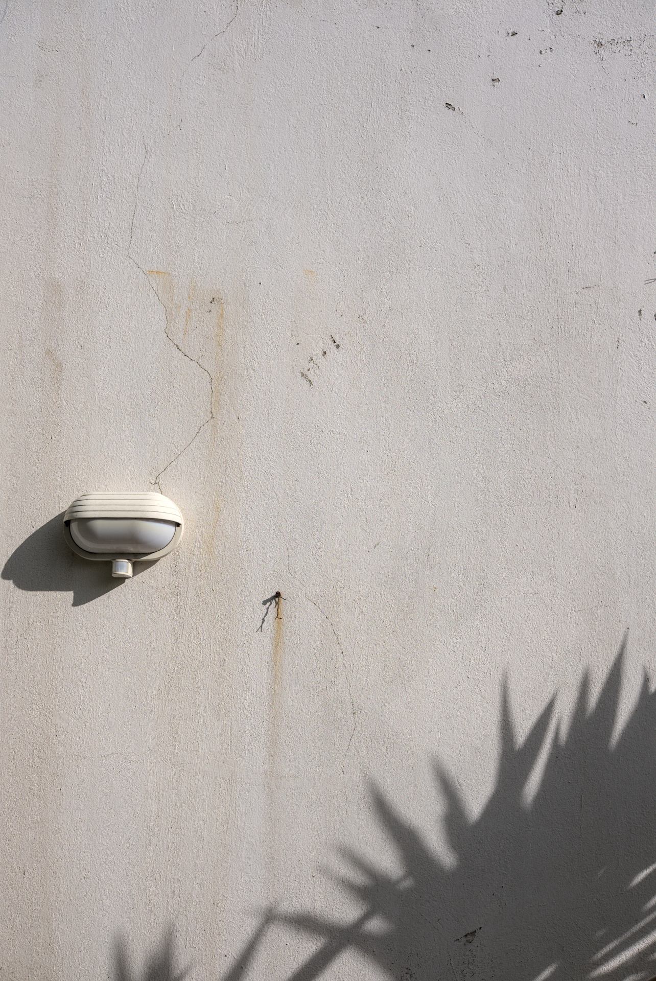 Composition à l'ombre