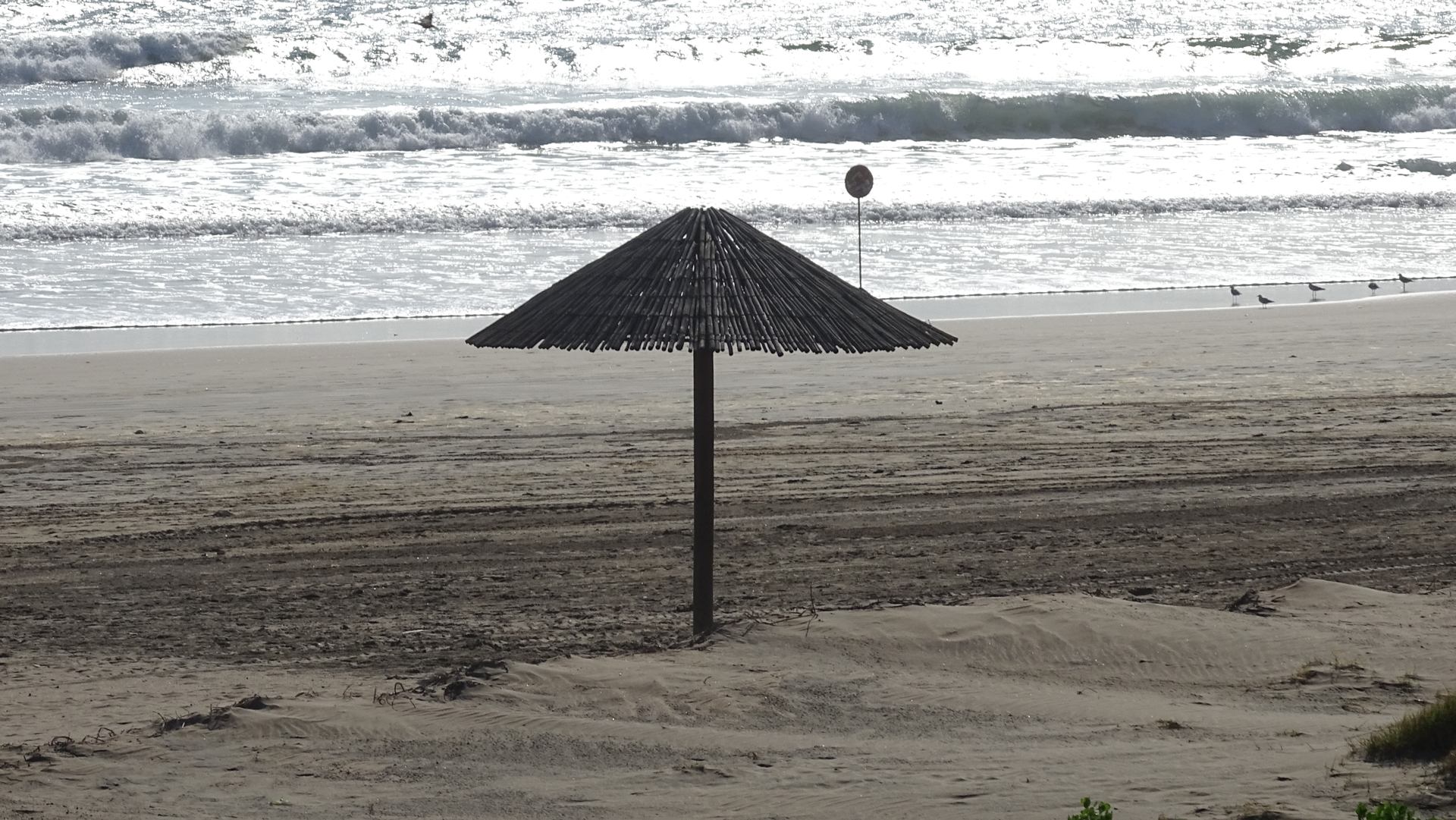 Afrique du Sud 2015 jmb (464).JPG