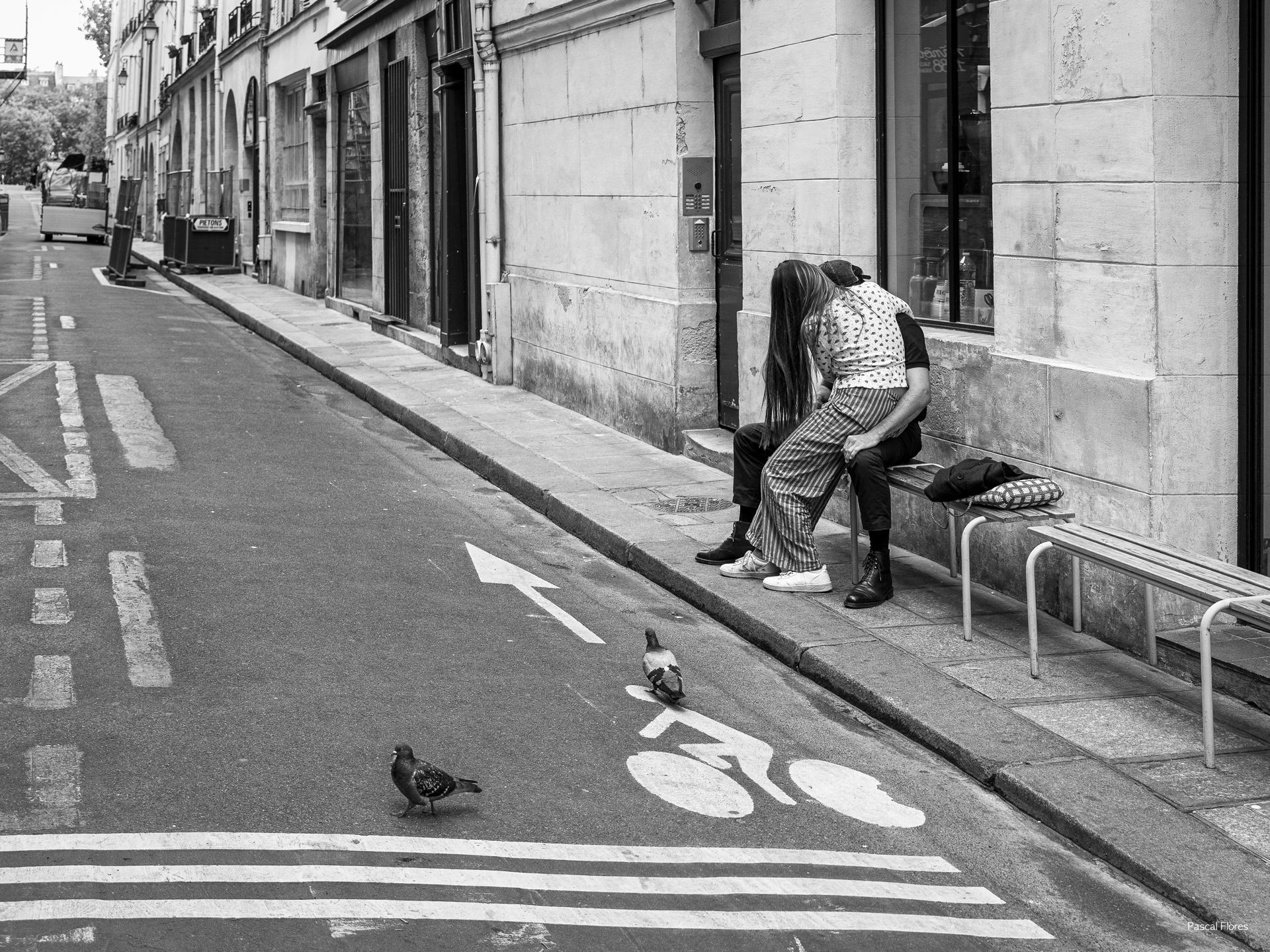 Les amoureux du banc