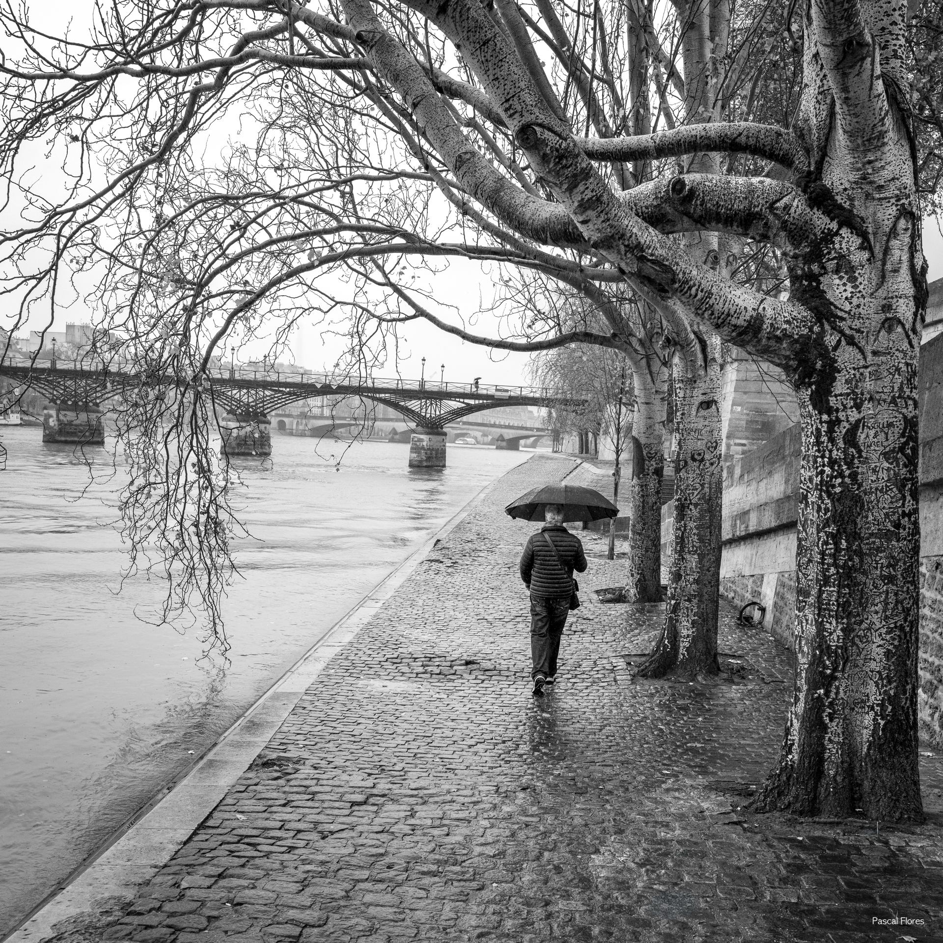 Le promeneur du quai de Seine