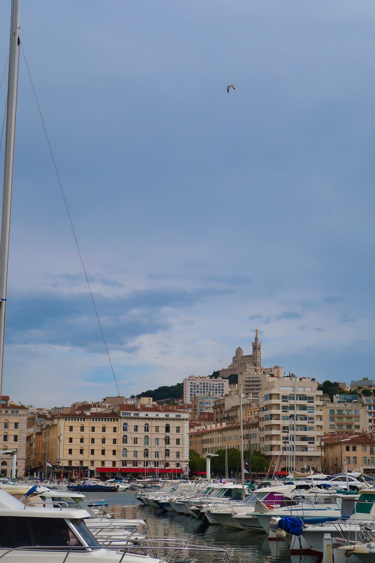 IMG_0830.jpeg