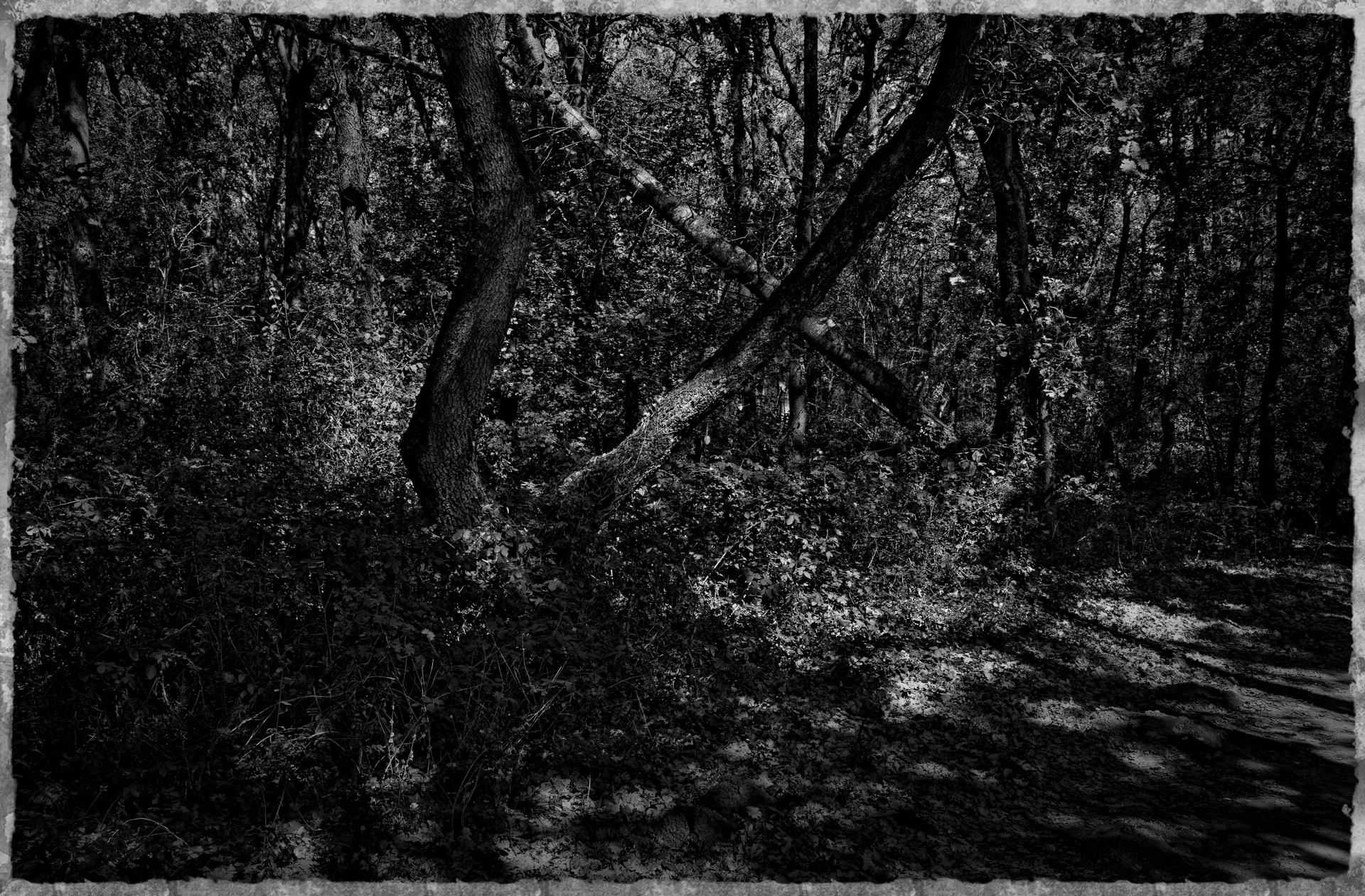 Ombres et lumières