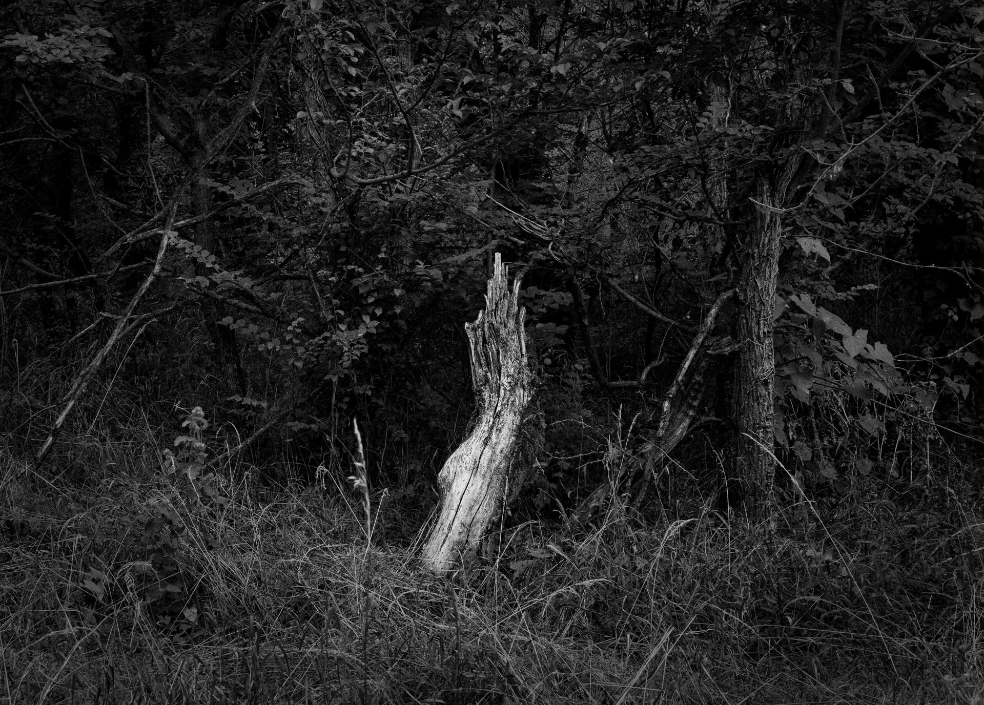 DRX04054(1).jpg