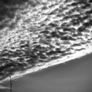 Classement final : 1499