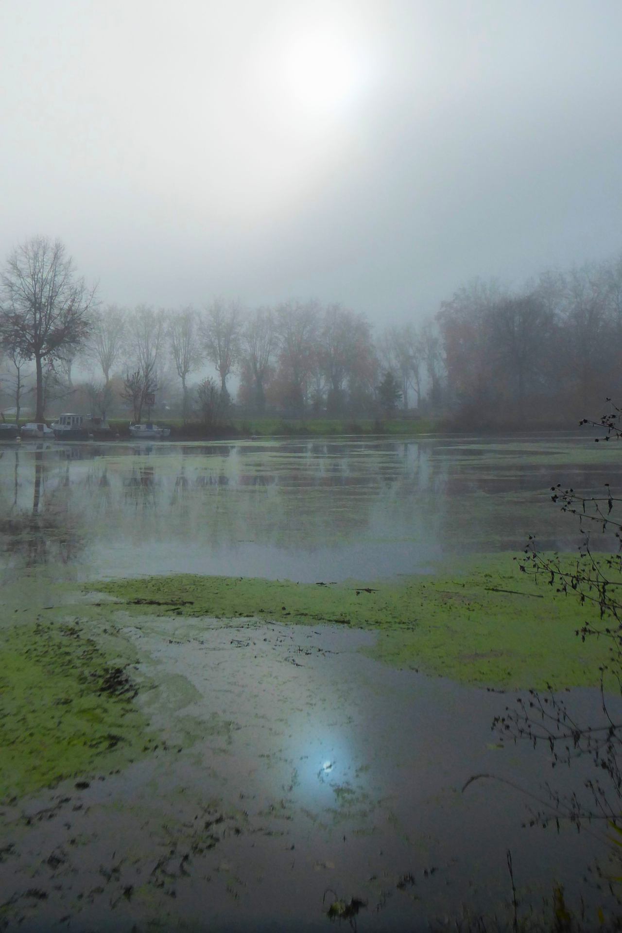 Chaussée aux Moines 3