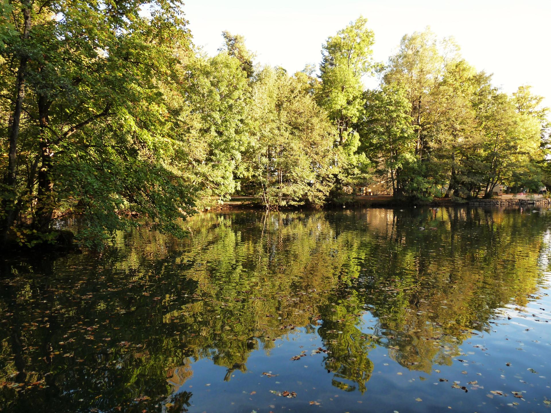 reflet