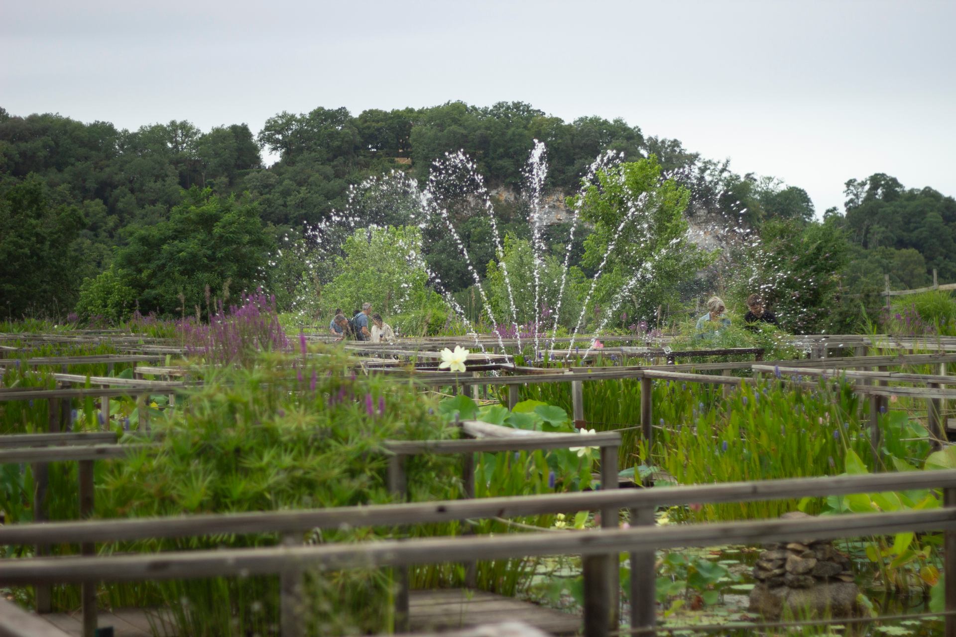 _MG_1143.jpg