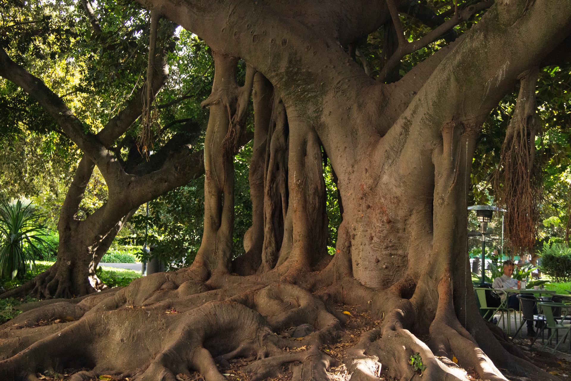 Jardim do Principe Real Lisbonne