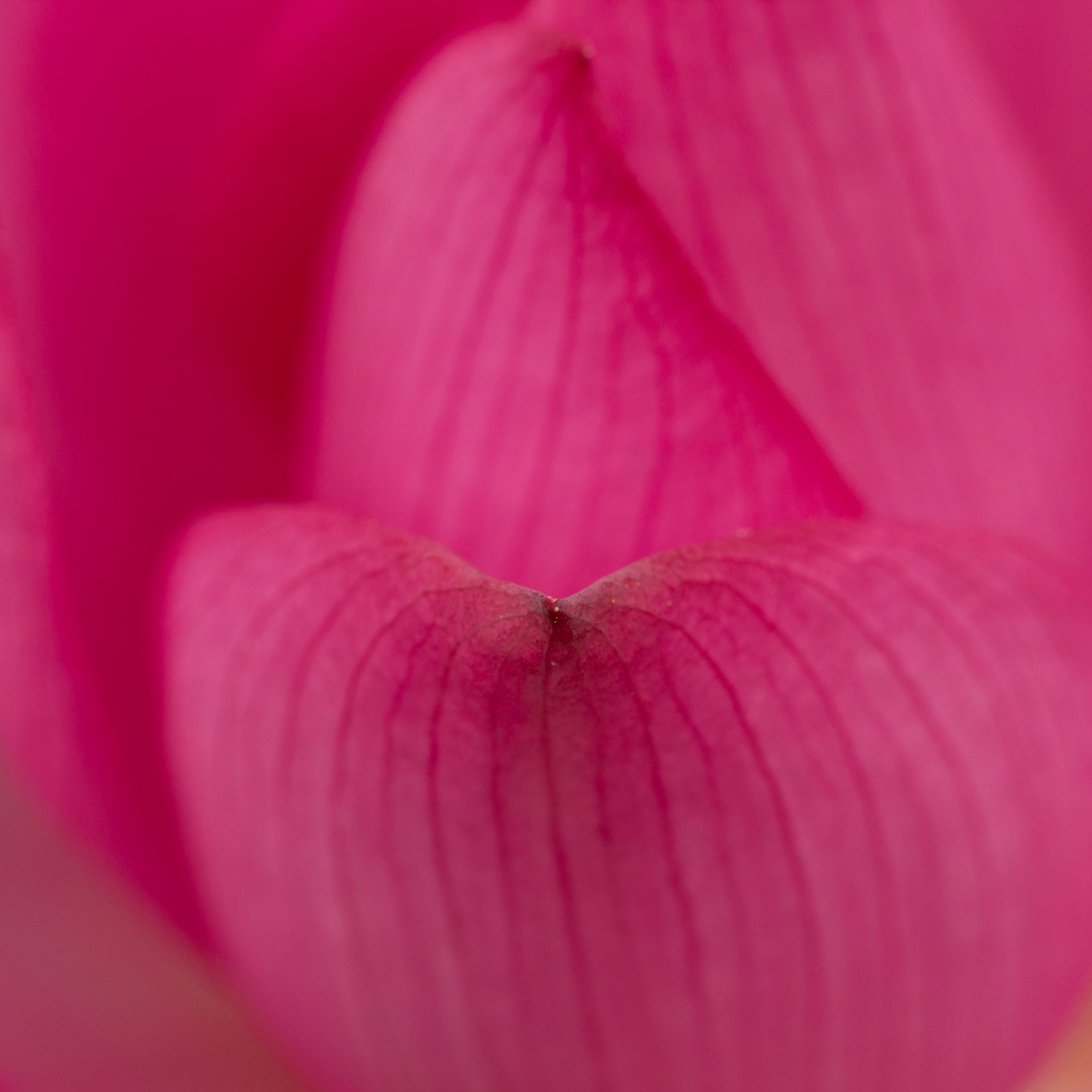 _MG_9051.jpg