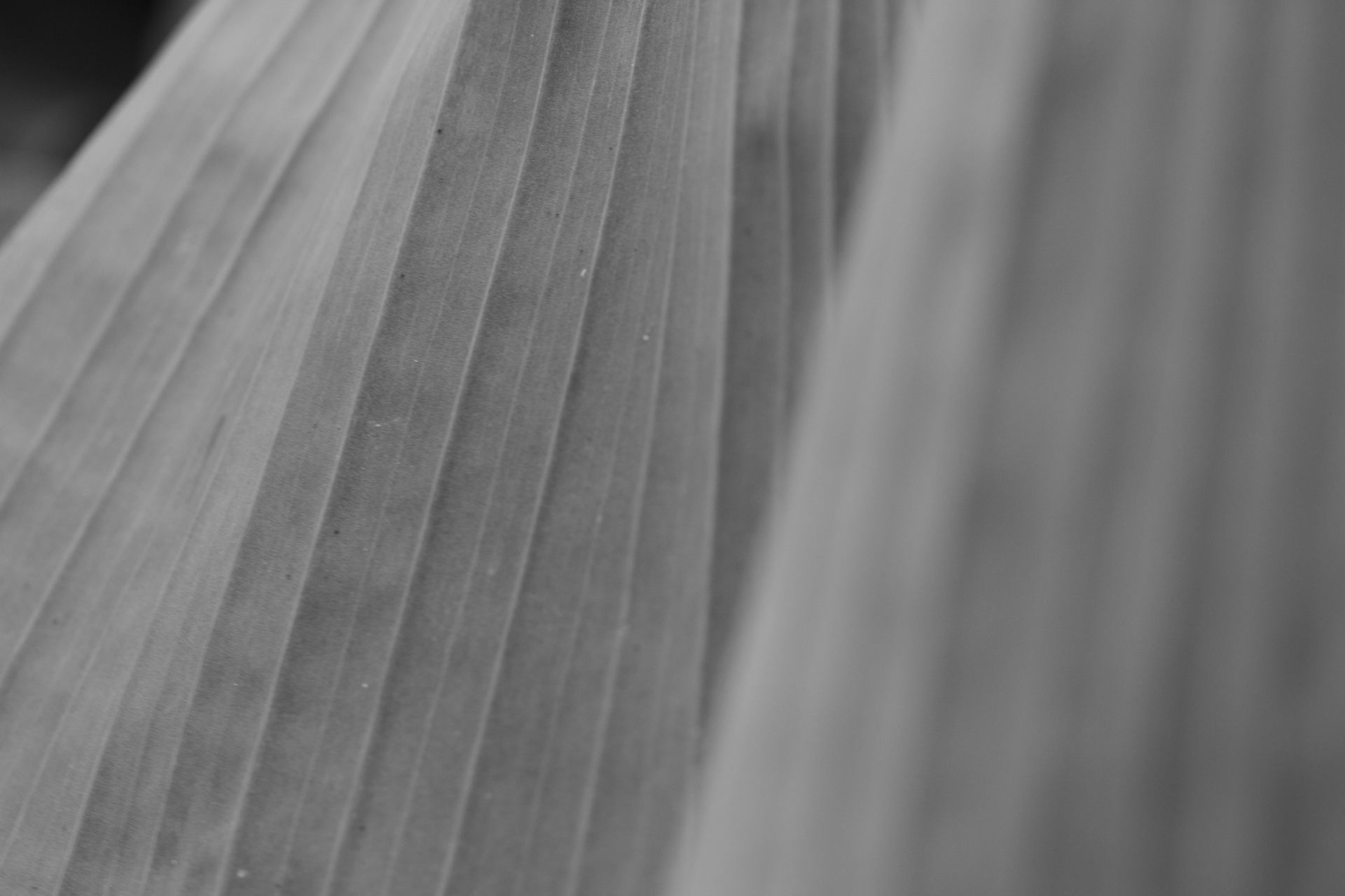 _MG_9486.jpg
