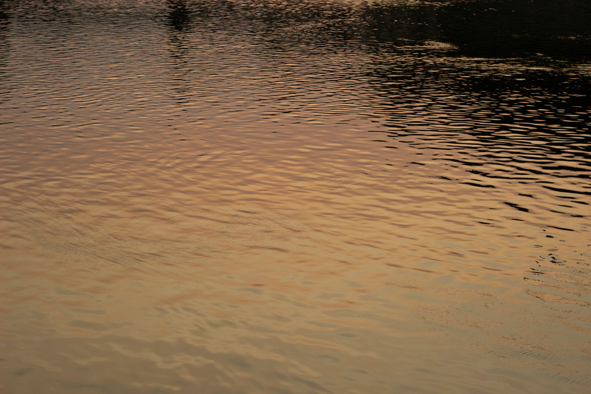 _MG_9859.jpg