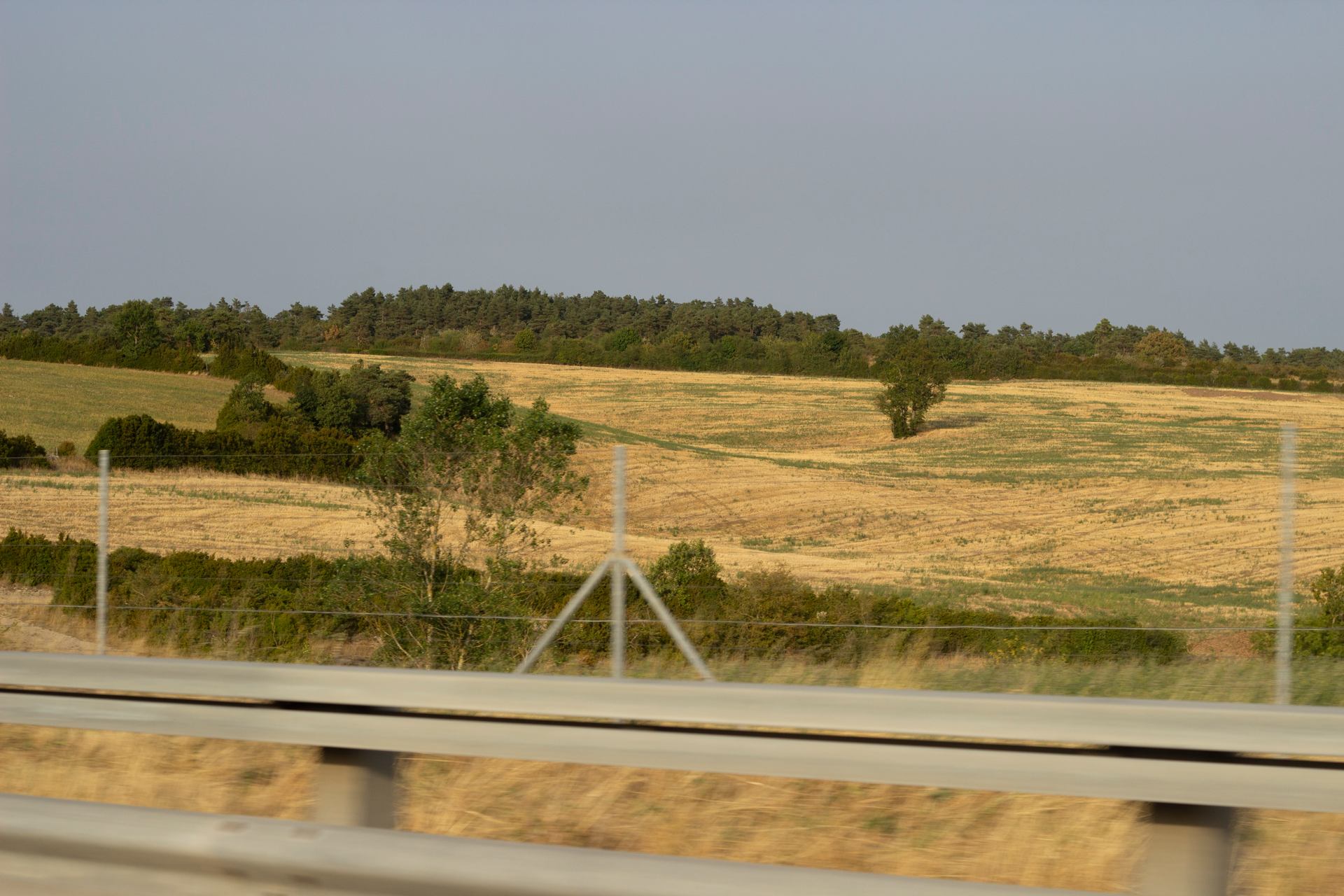_MG_9904.jpg