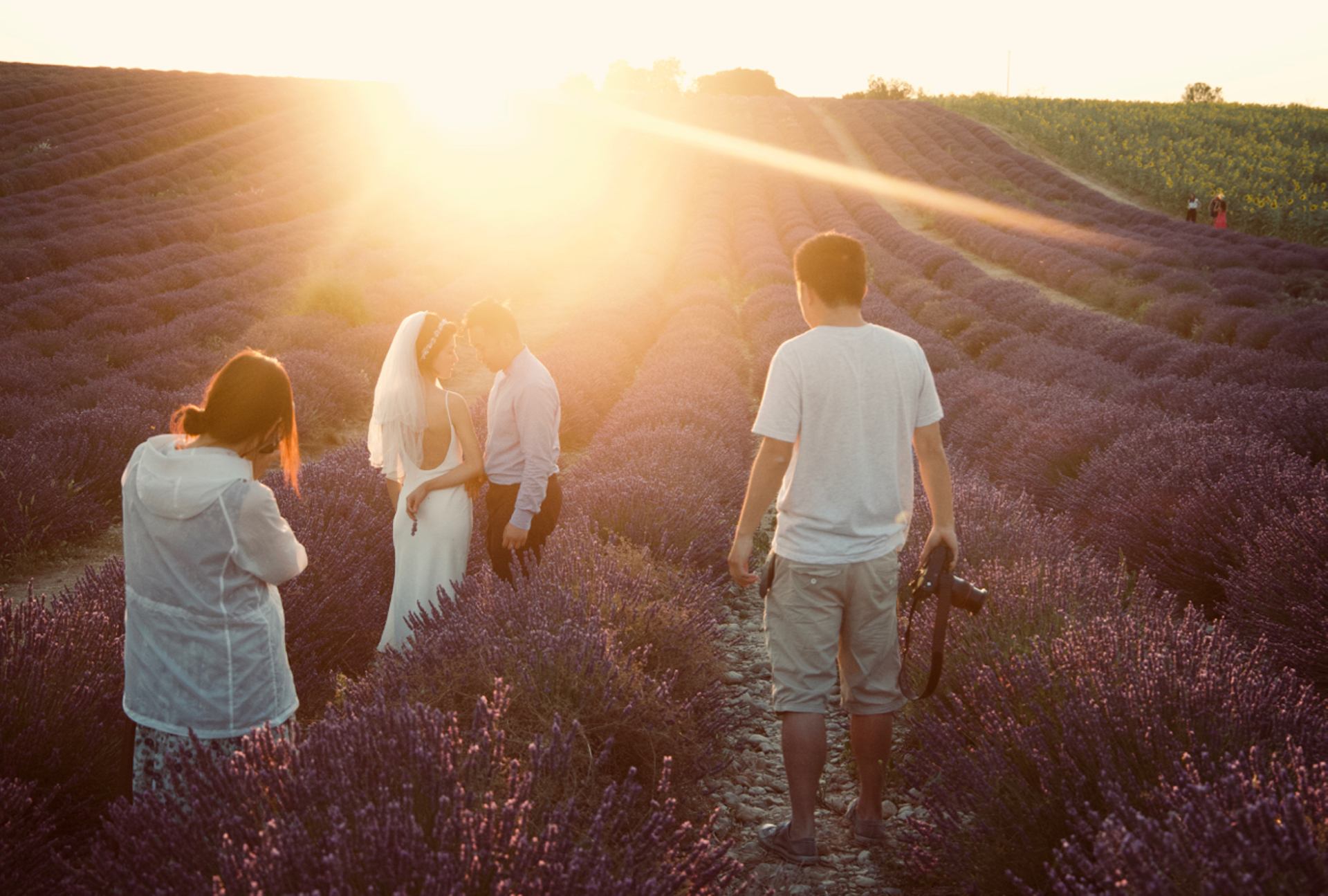 chinois lavande mariage valensole.jpg