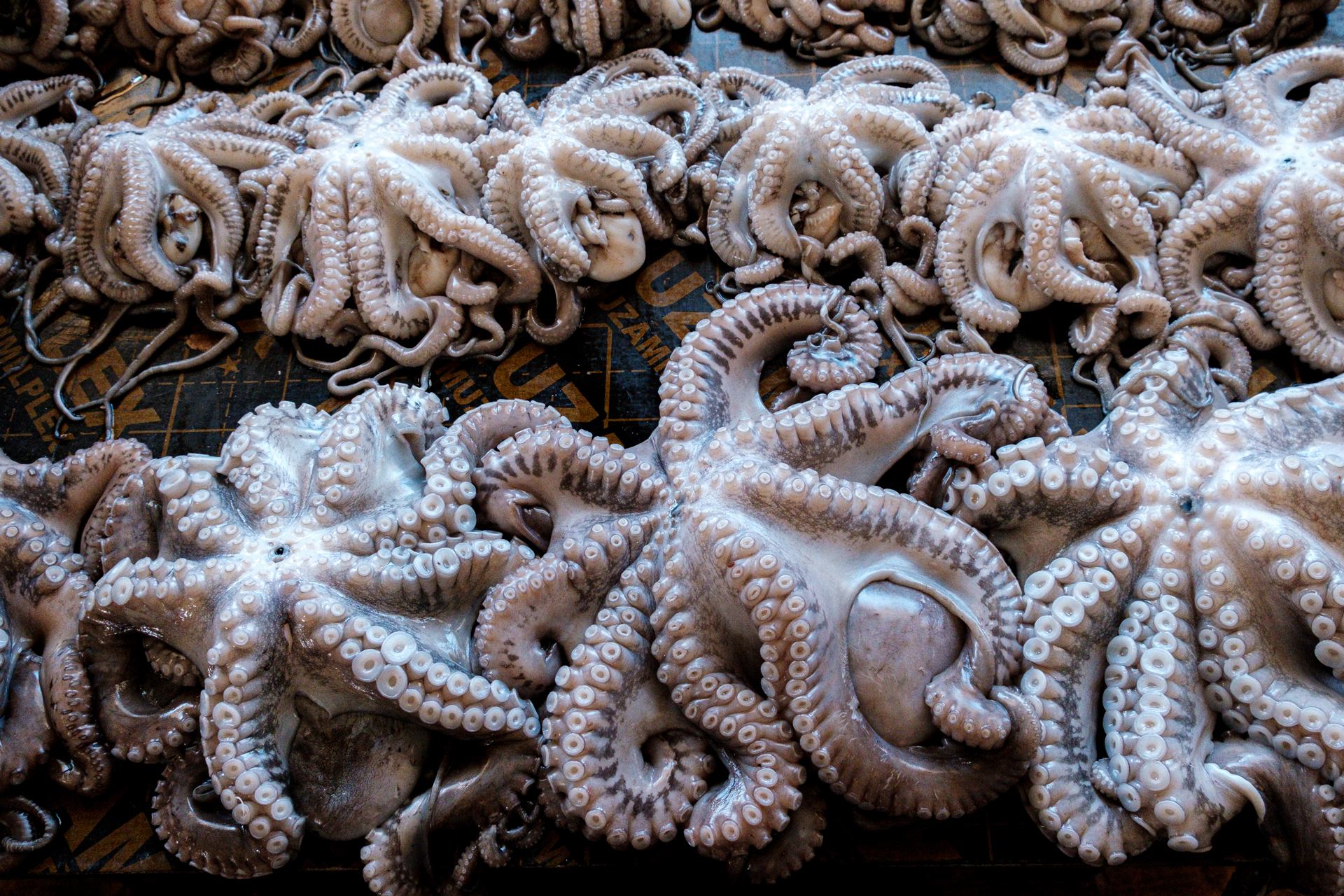 laurent-bruneau- (22 sur 1).jpg