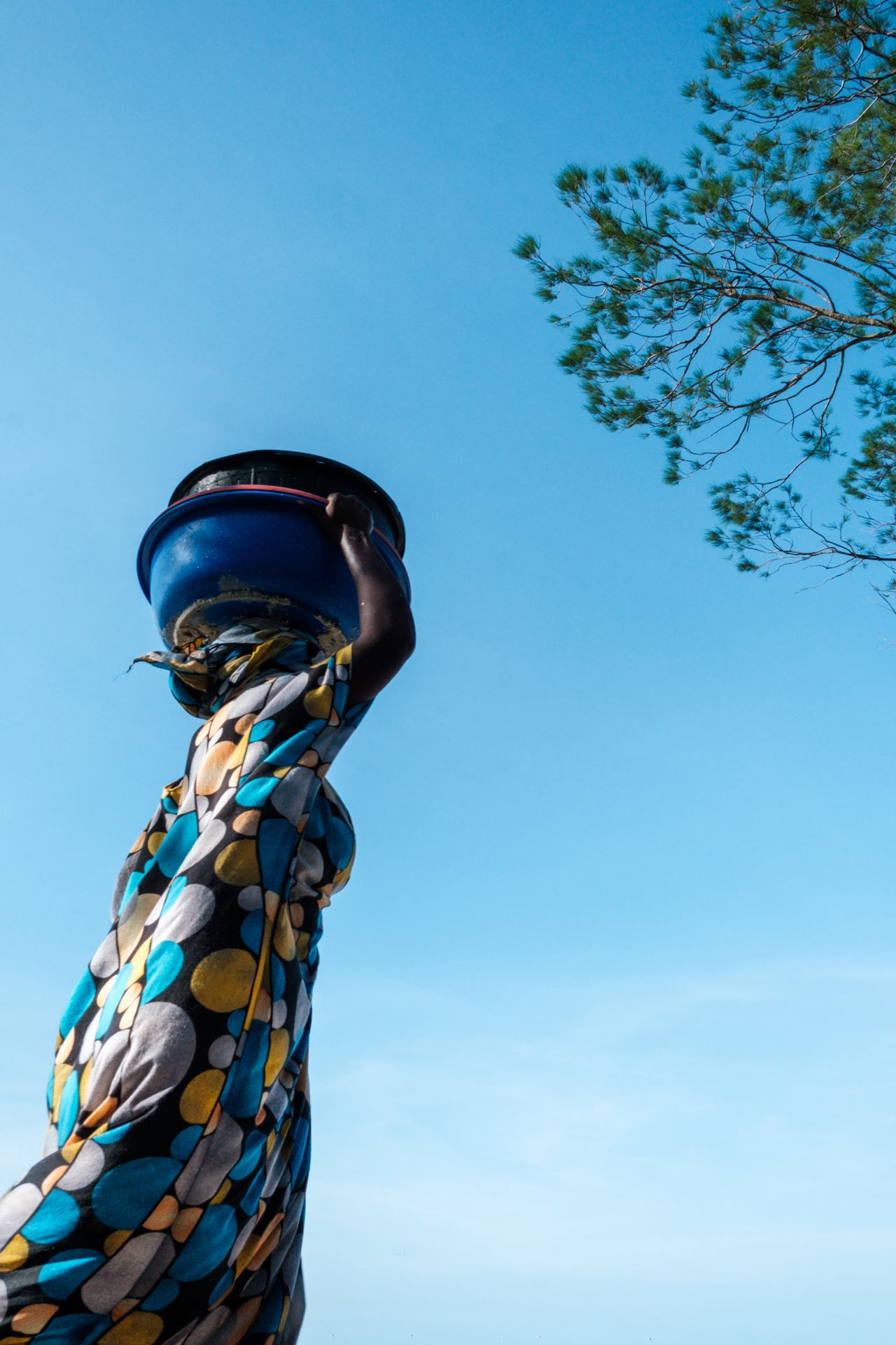 laurent-bruneau- (11 sur 1).jpg