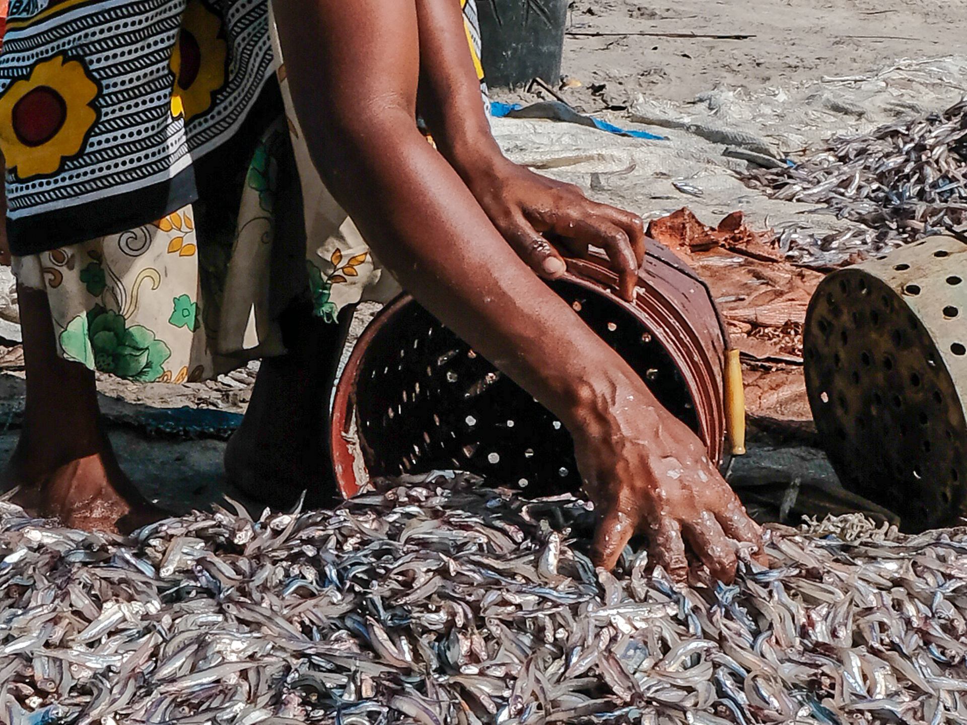 laurent-bruneau- (13a sur 1).jpg