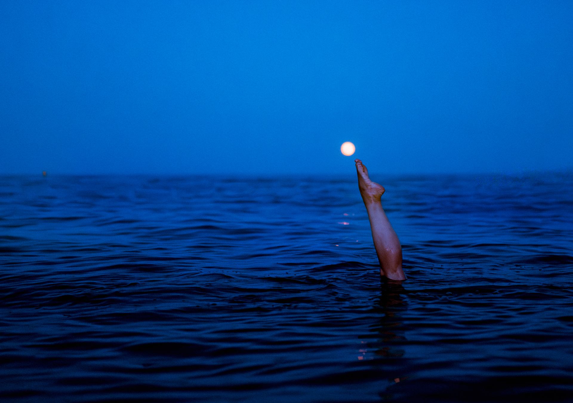 Pied de nez à la Lune du Cerf