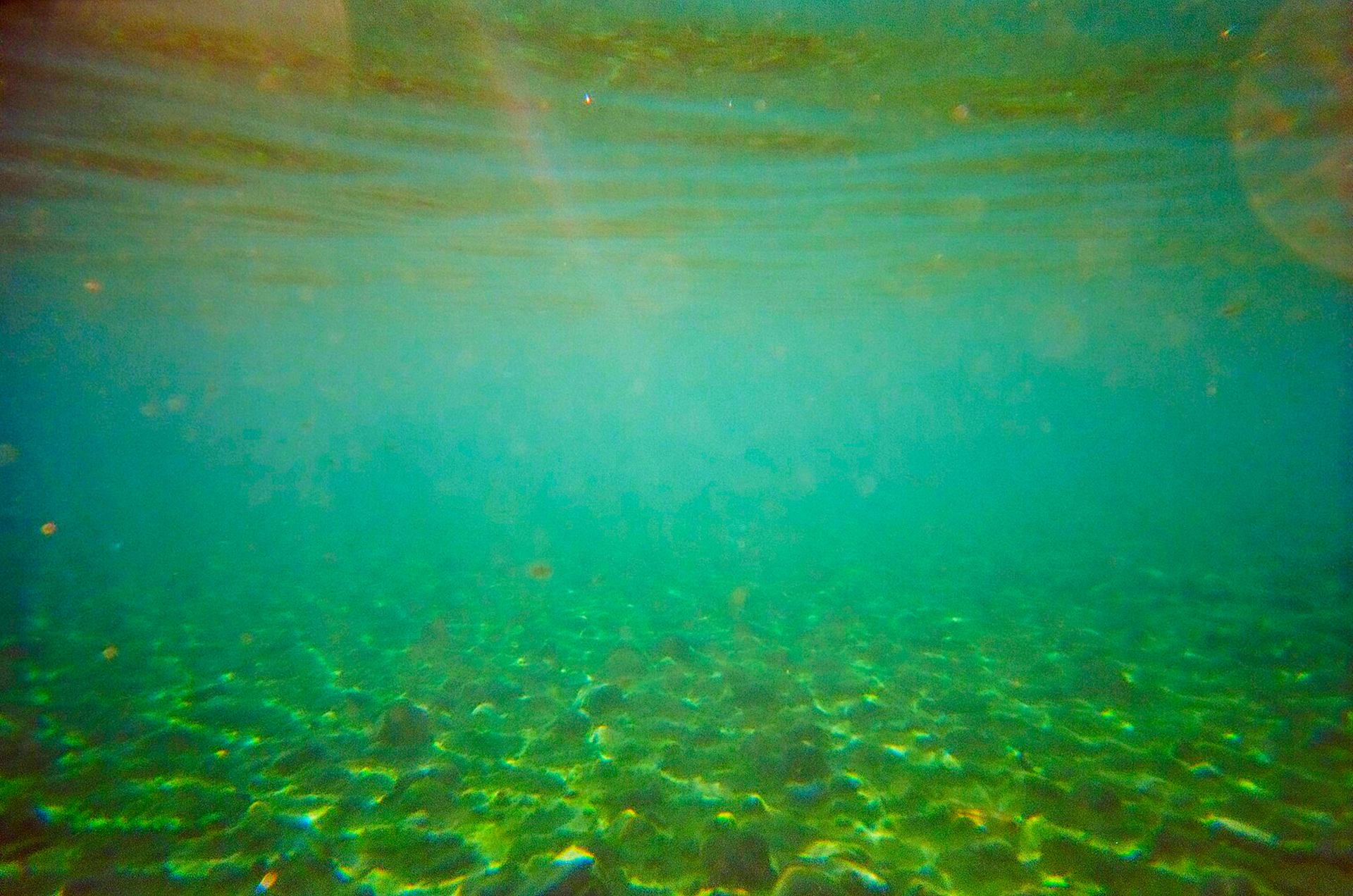 Mergulho