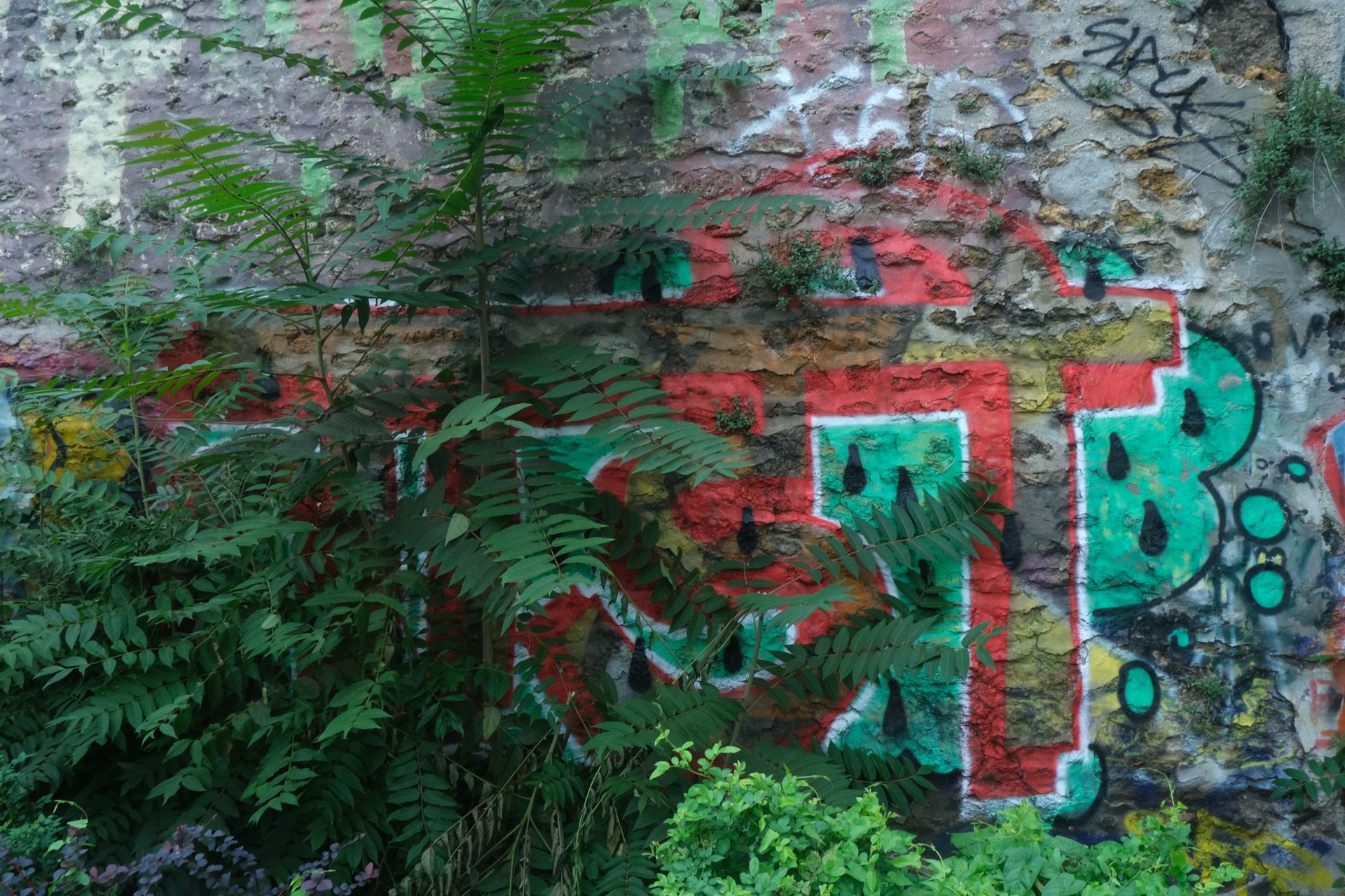 20250725_122840.jpg
