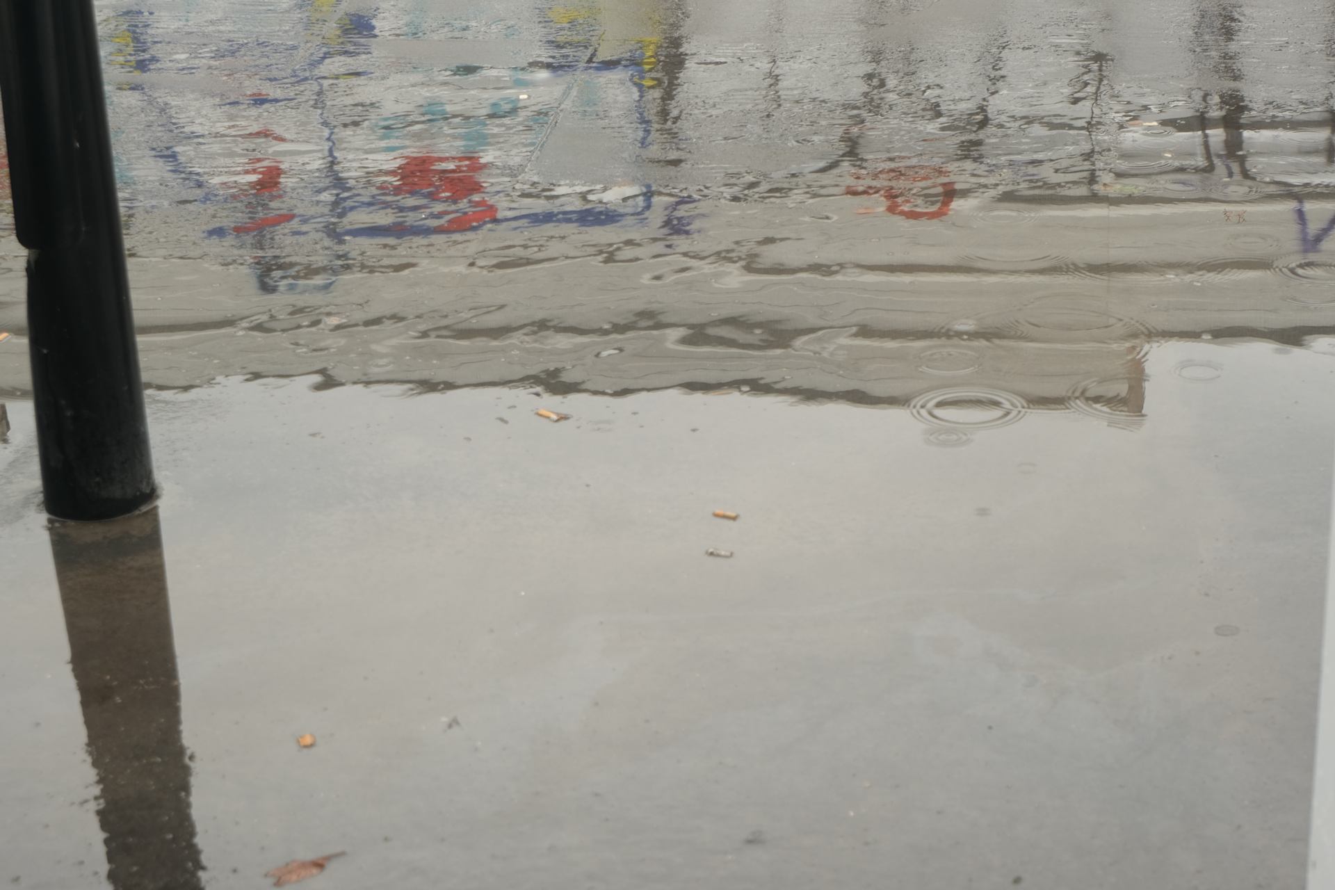 DSCF8374.JPG