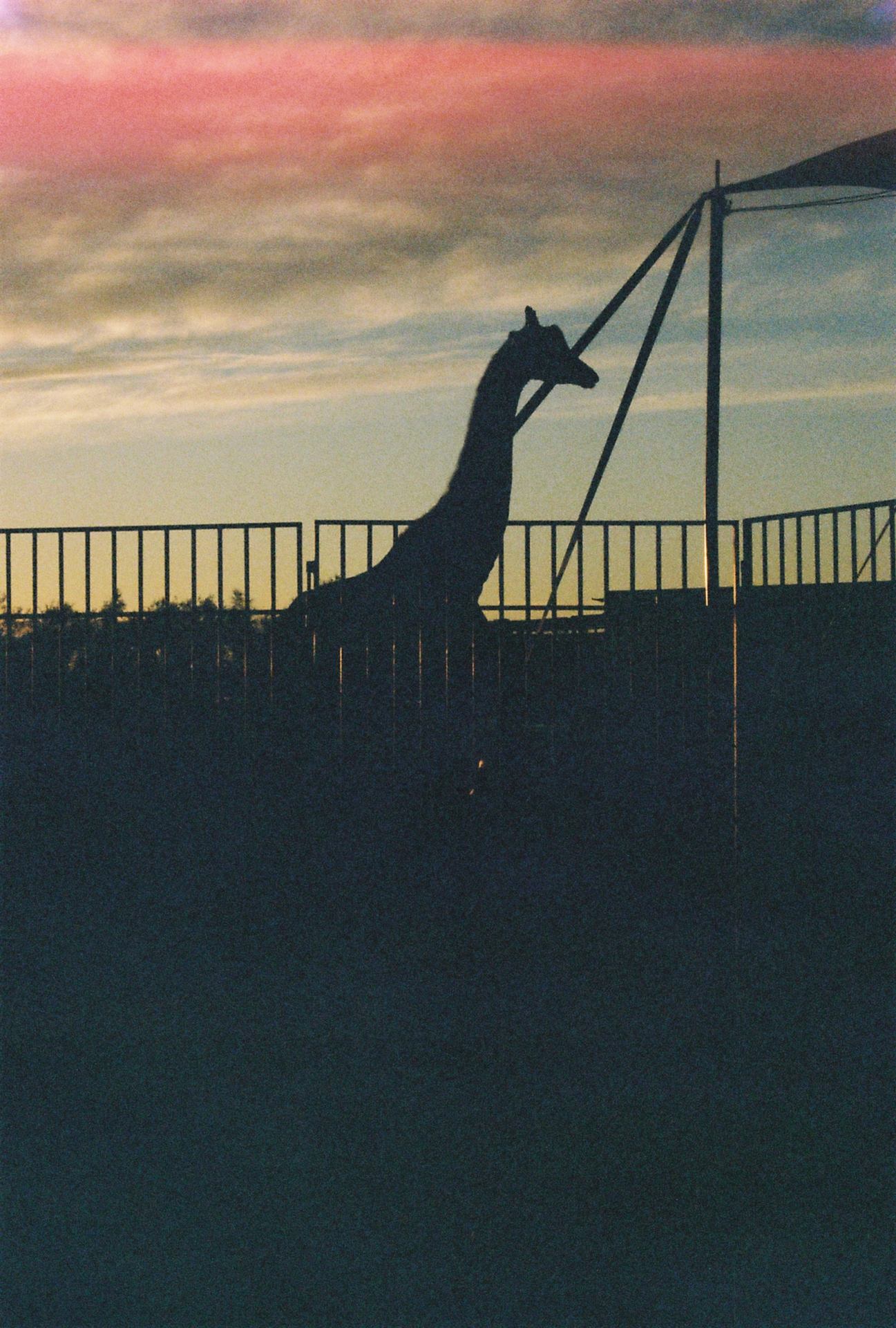Silhouette capturée
