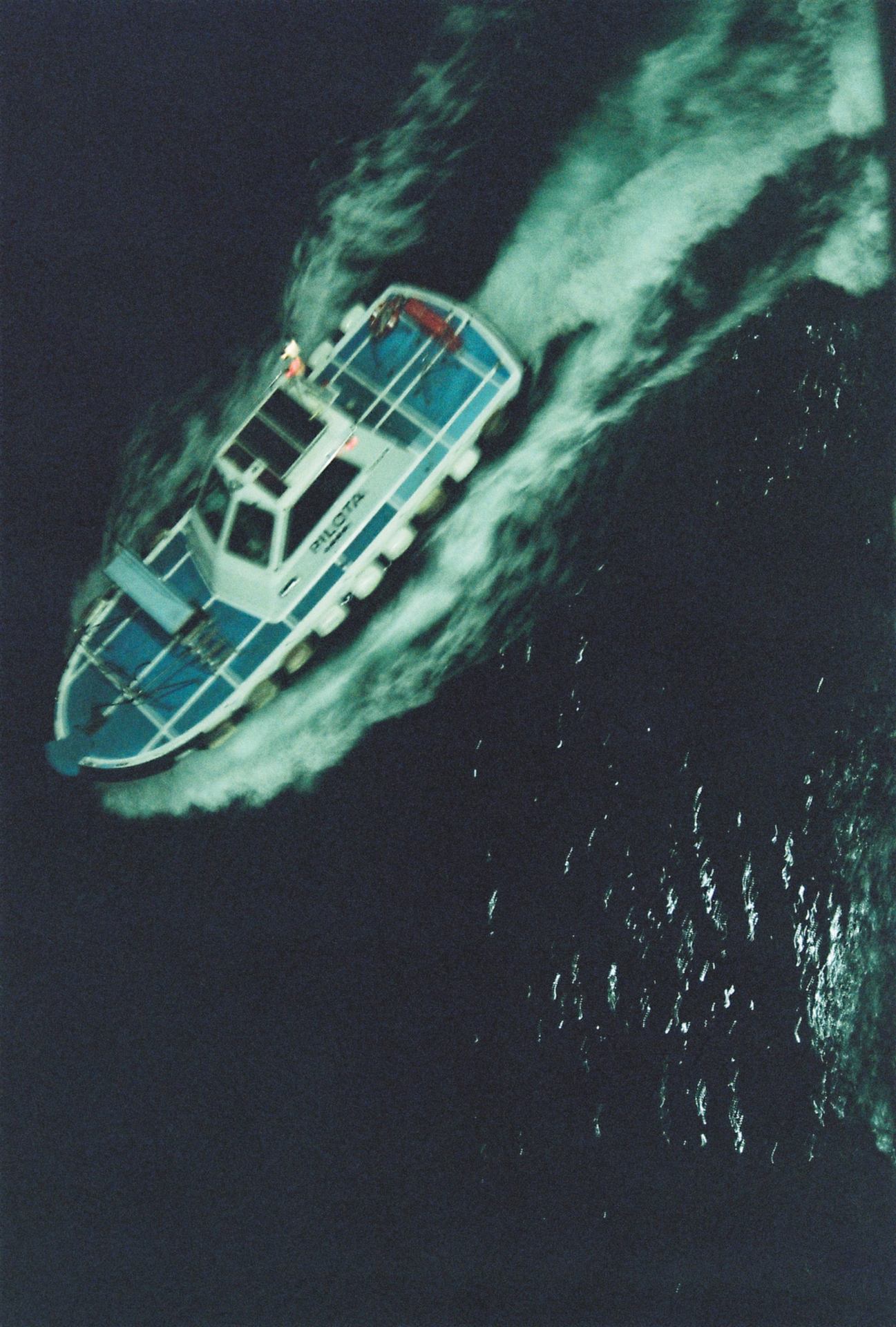 Pilota