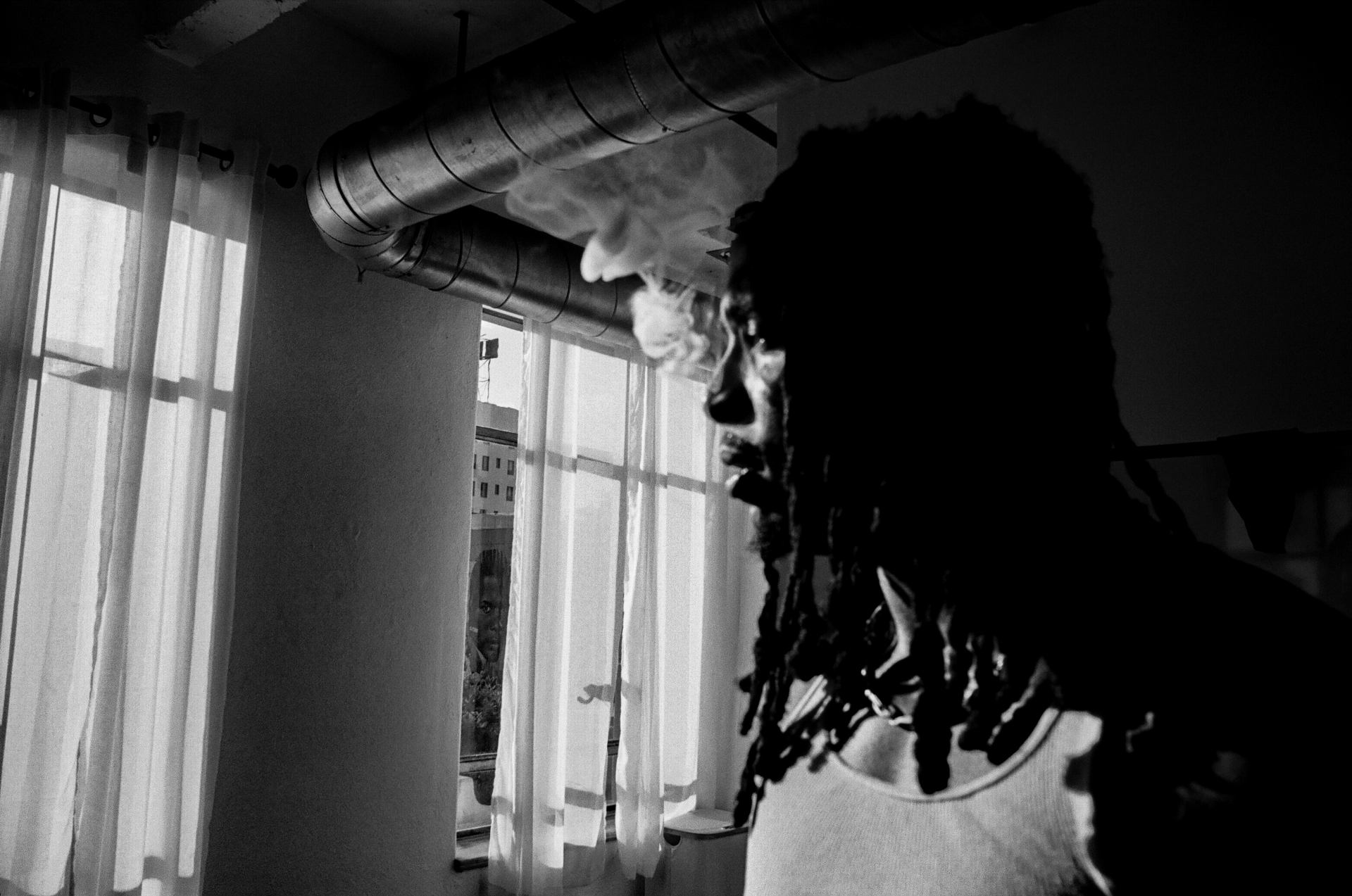 Who's that peeking thru my window !?