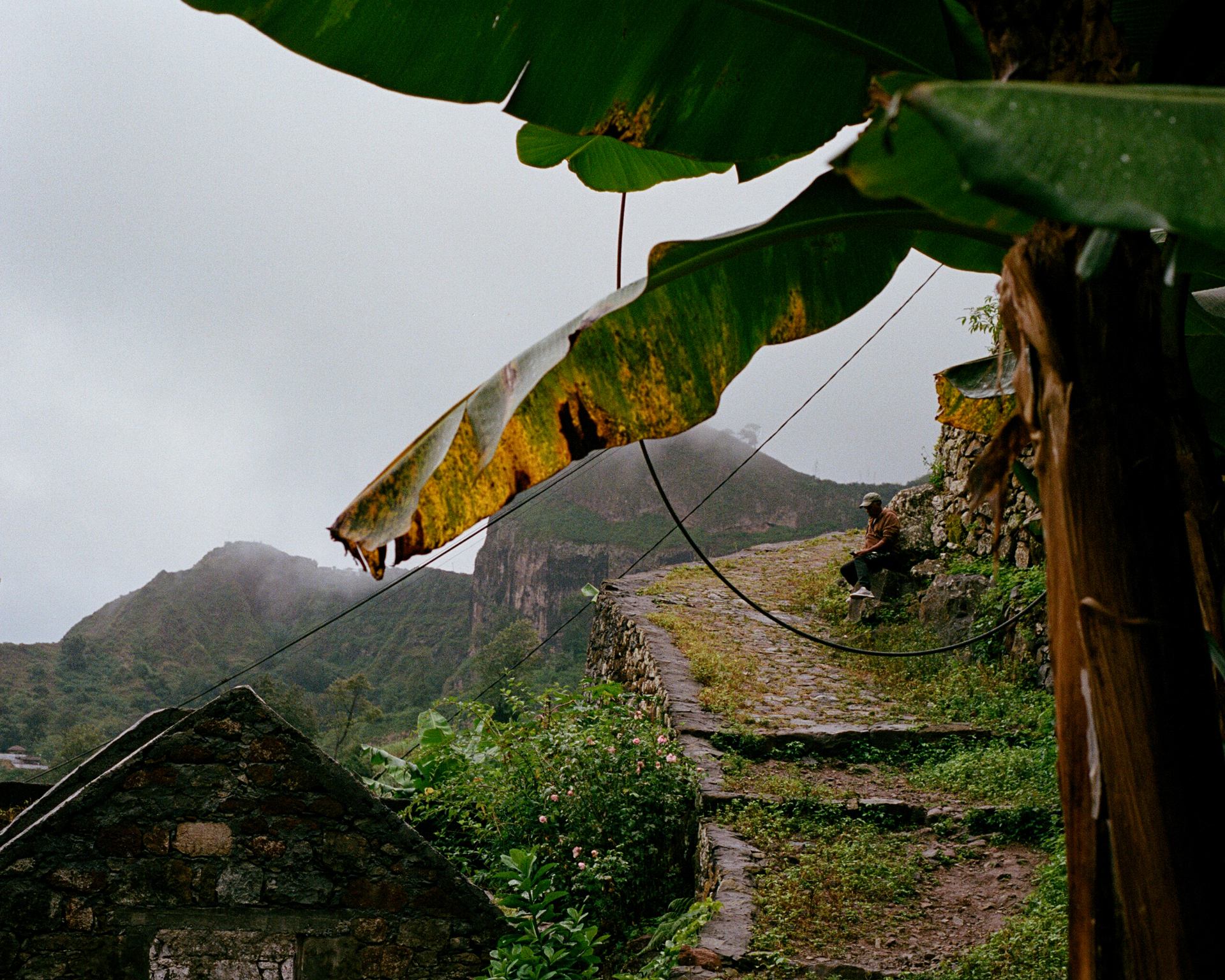 It's that gadamn phone