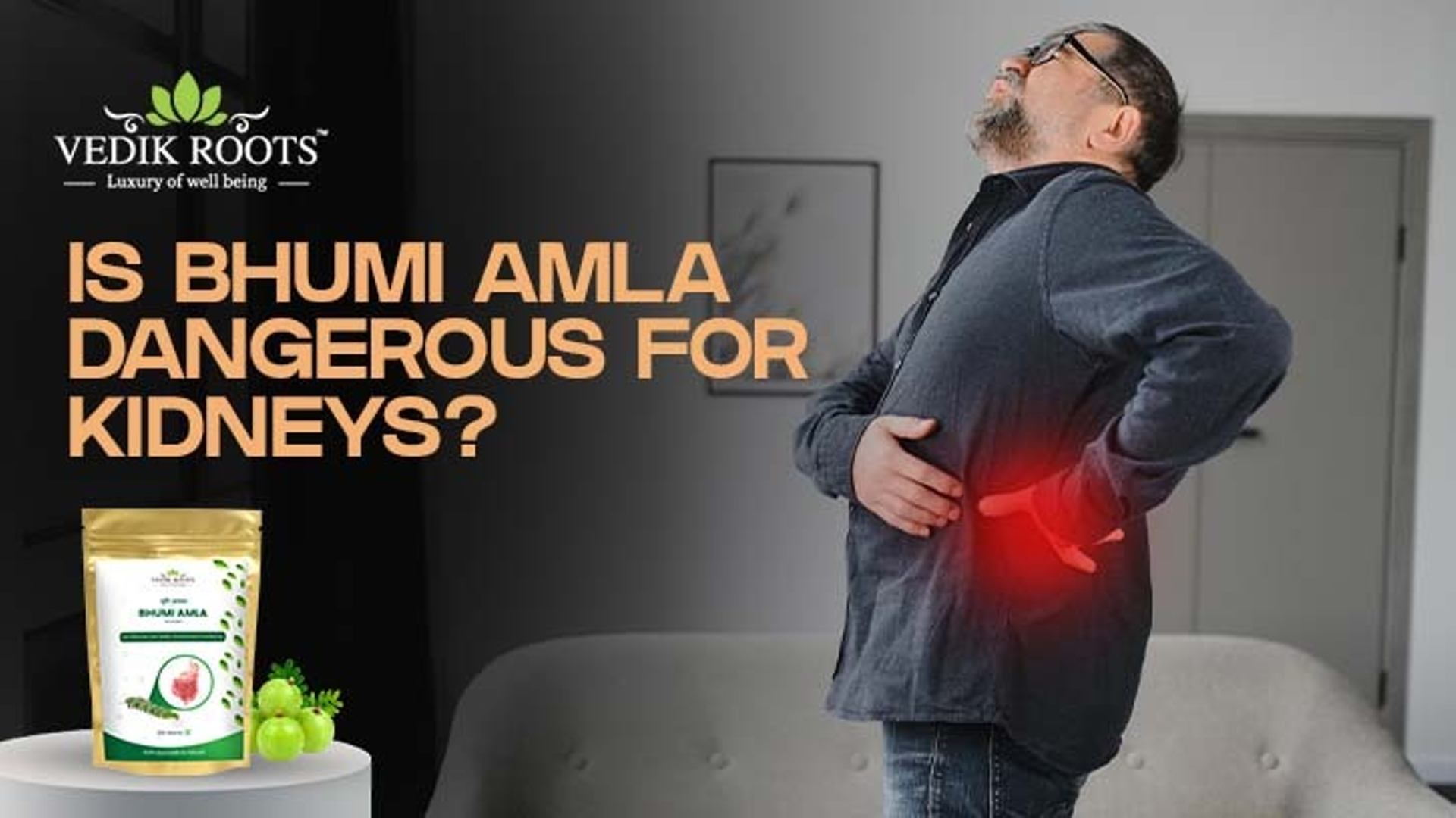 Is Bhumi Amla Dangerous for Kidneys.jpg