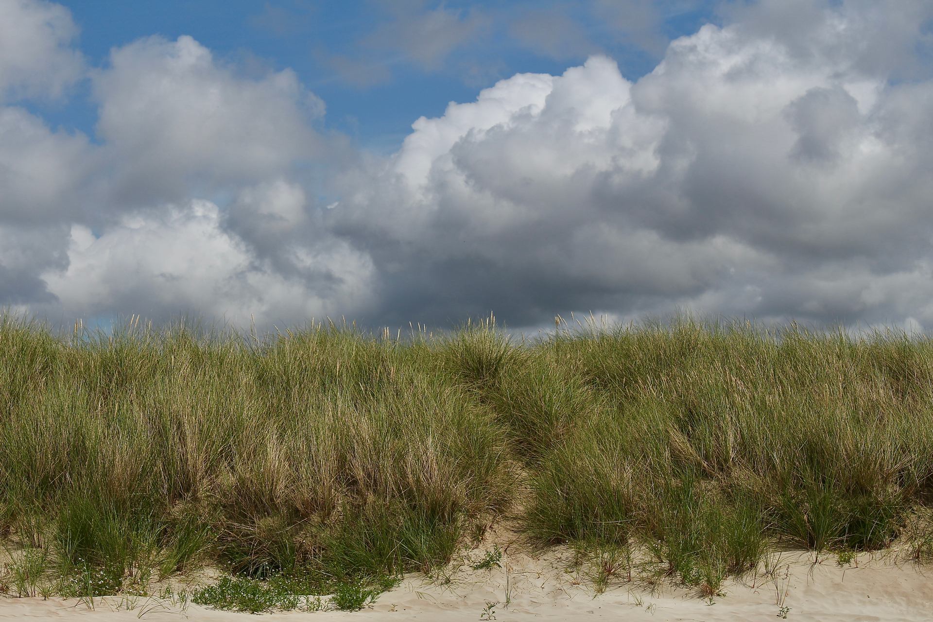 D5183B0A-6BE6-476D-B850-0F950ACFFA8A_1_201_a.jpeg