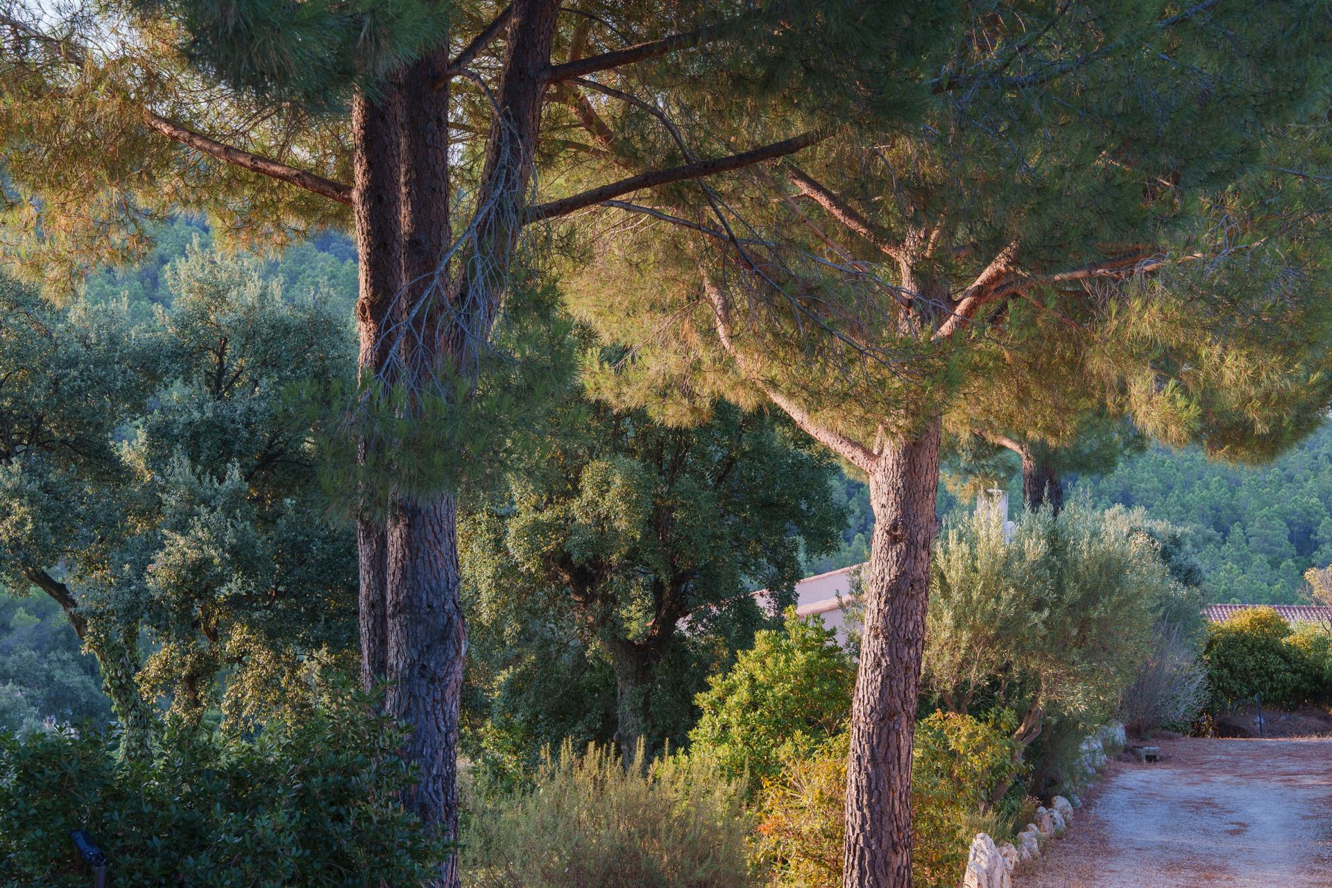 2025_Vacances_Summer_by_Marie_Levi-68.jpg