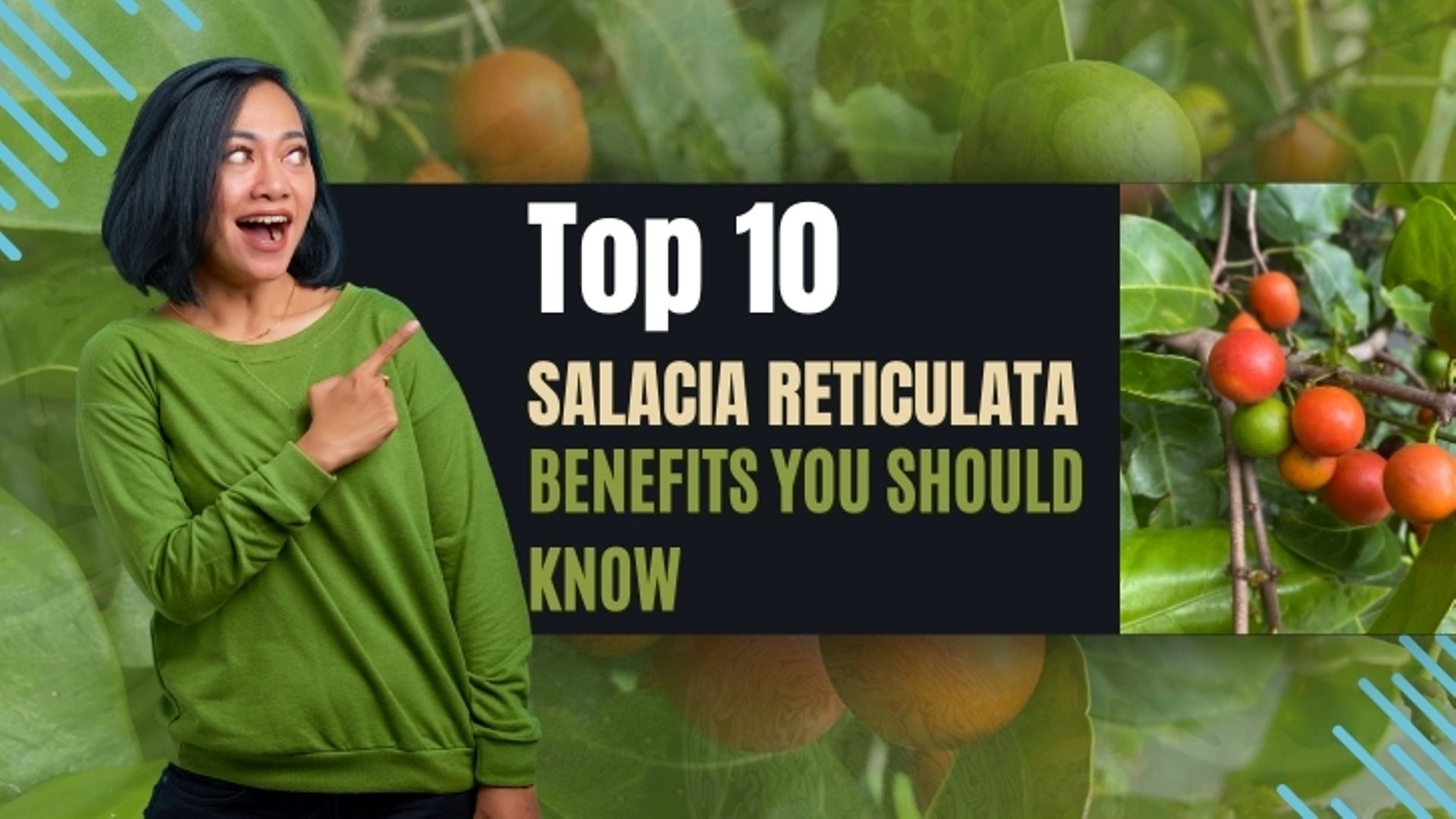 Top 10 Salacia Reticulata Benefits You Should Know